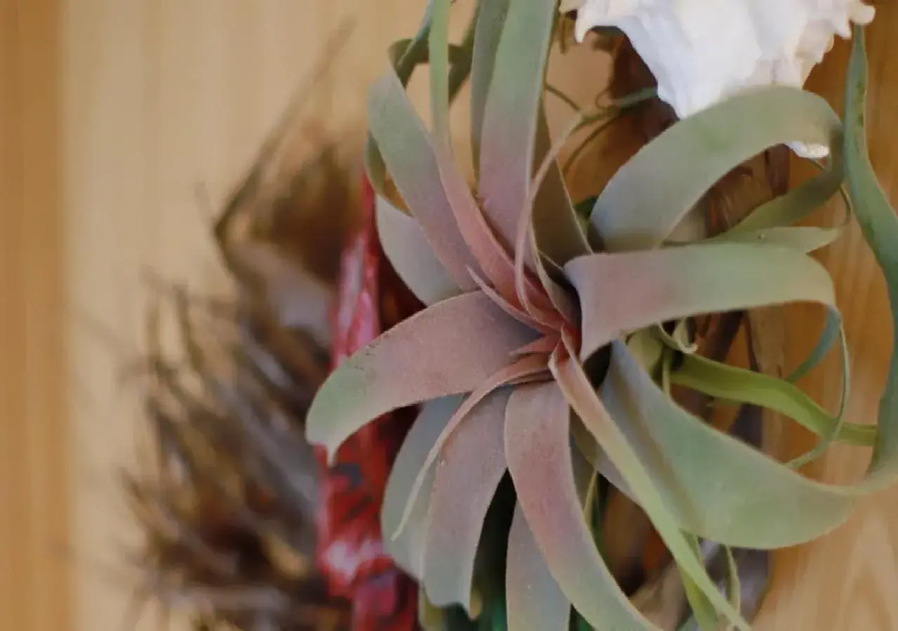 Star Light Terrace TERUYA / Vacation STAY 64942 Star Light Terrace TERUYA / Vacation STAY 64942