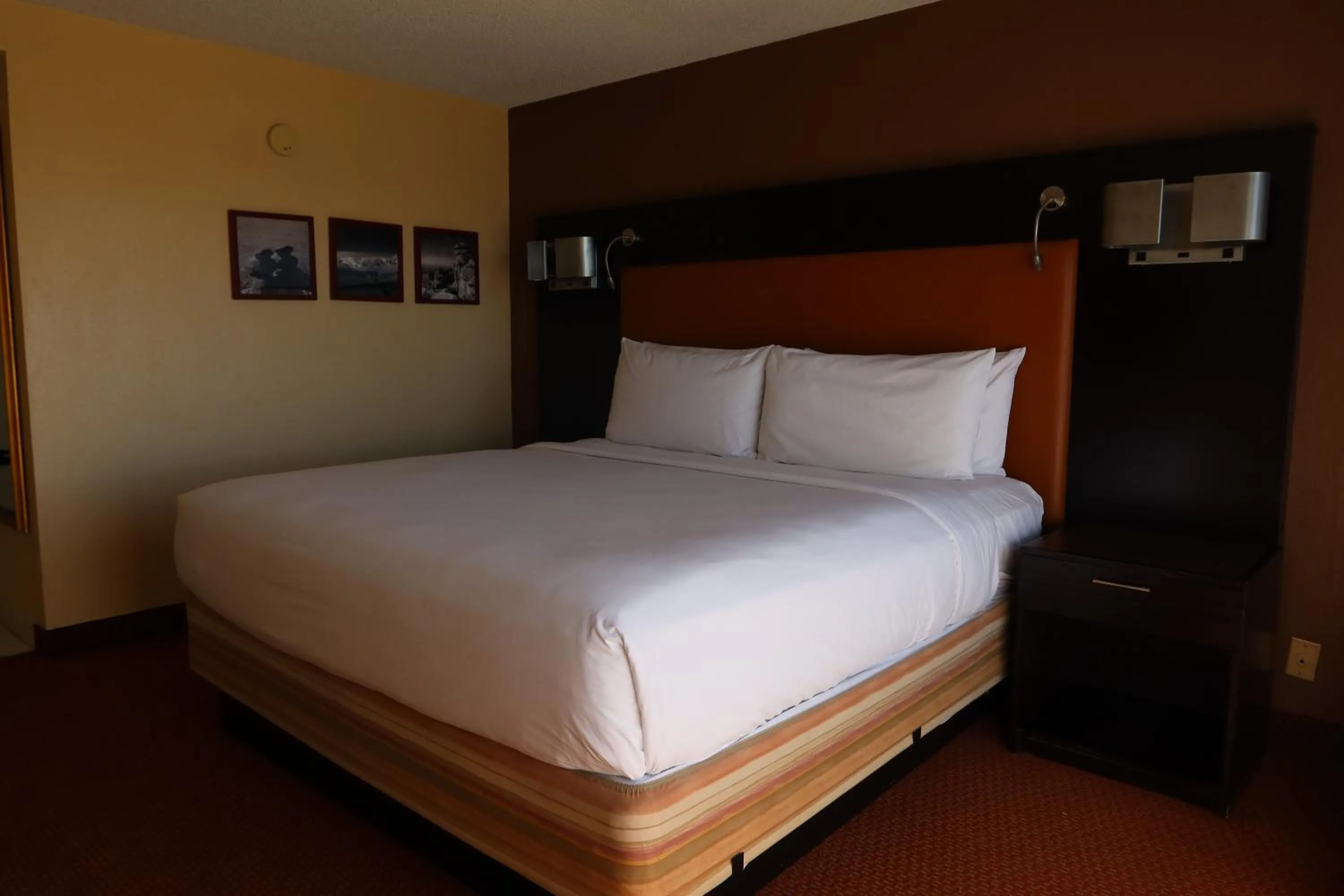 Bed in GreenTree Hotel Phoenix West