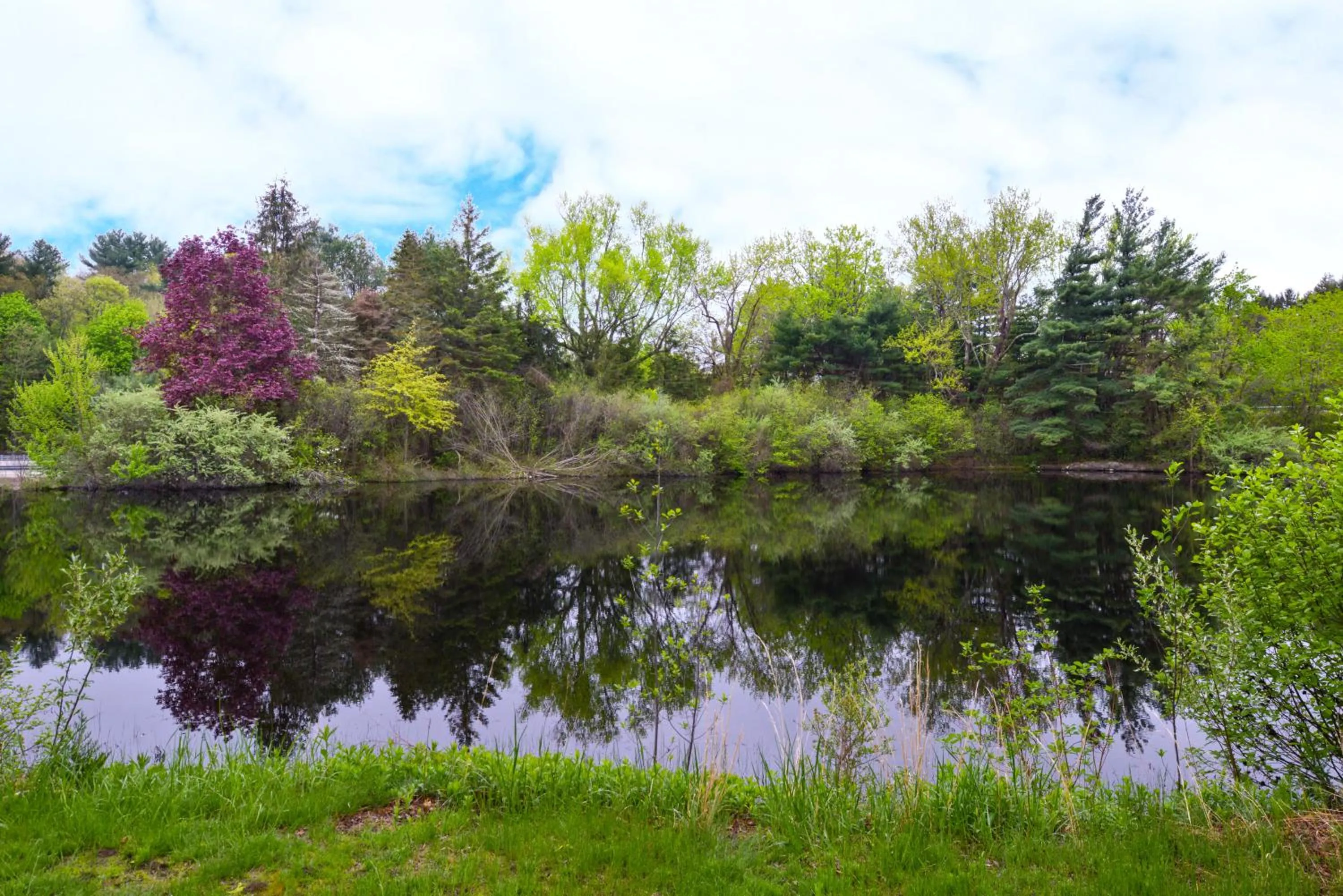 Other in Motel 6 Putnam CT