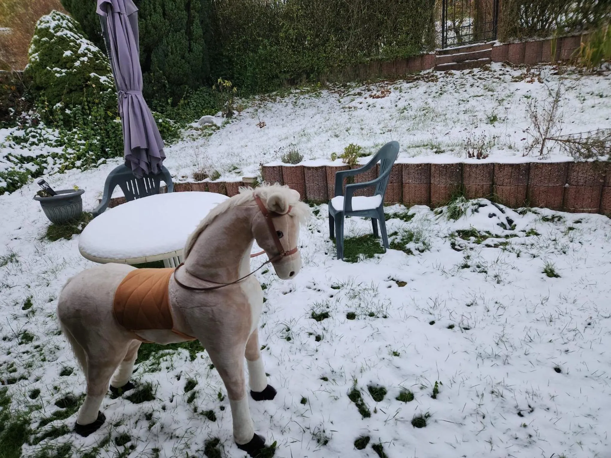 Garden in Gasthaus Hochwald