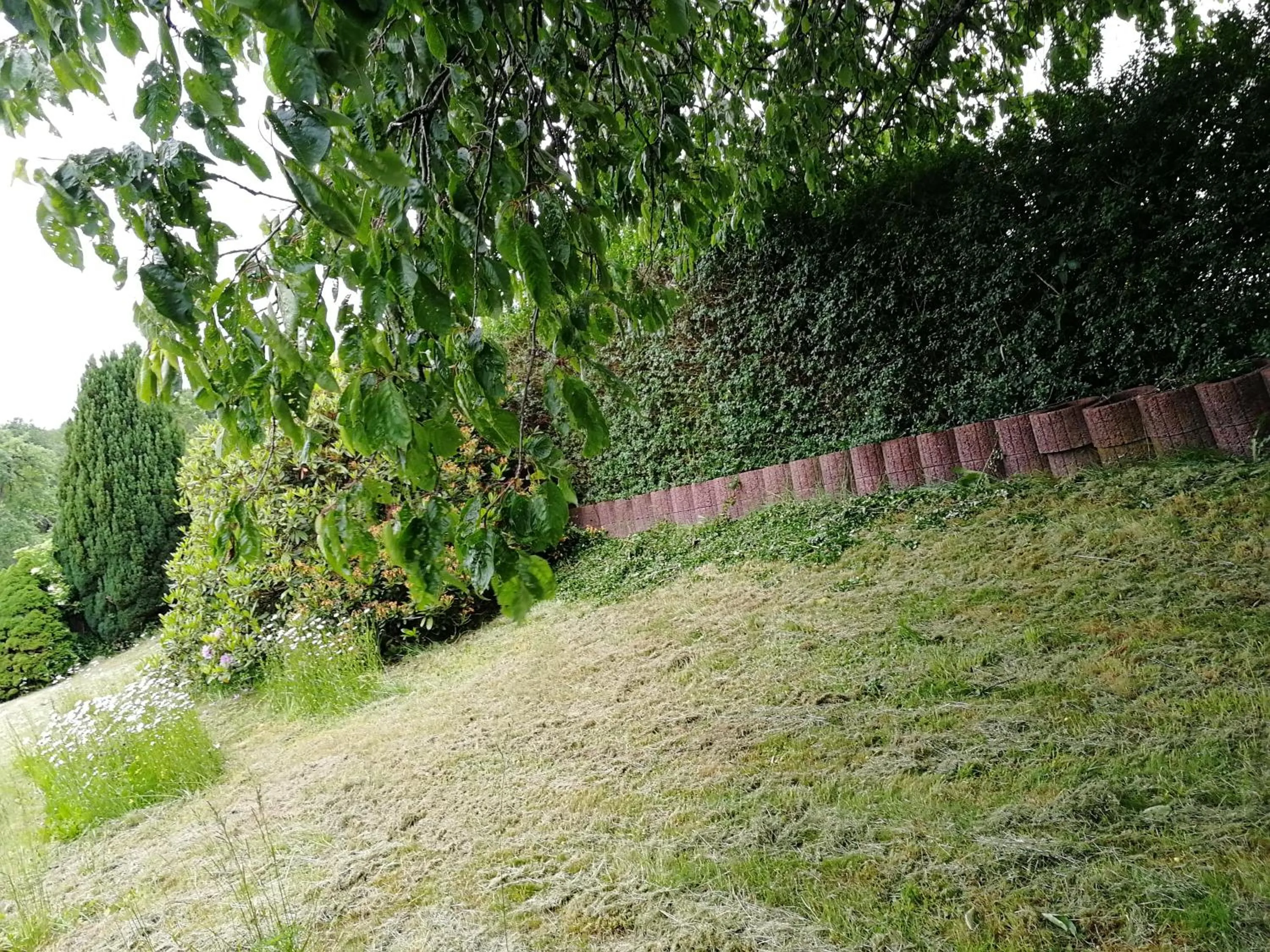 Garden view in Gasthaus Hochwald