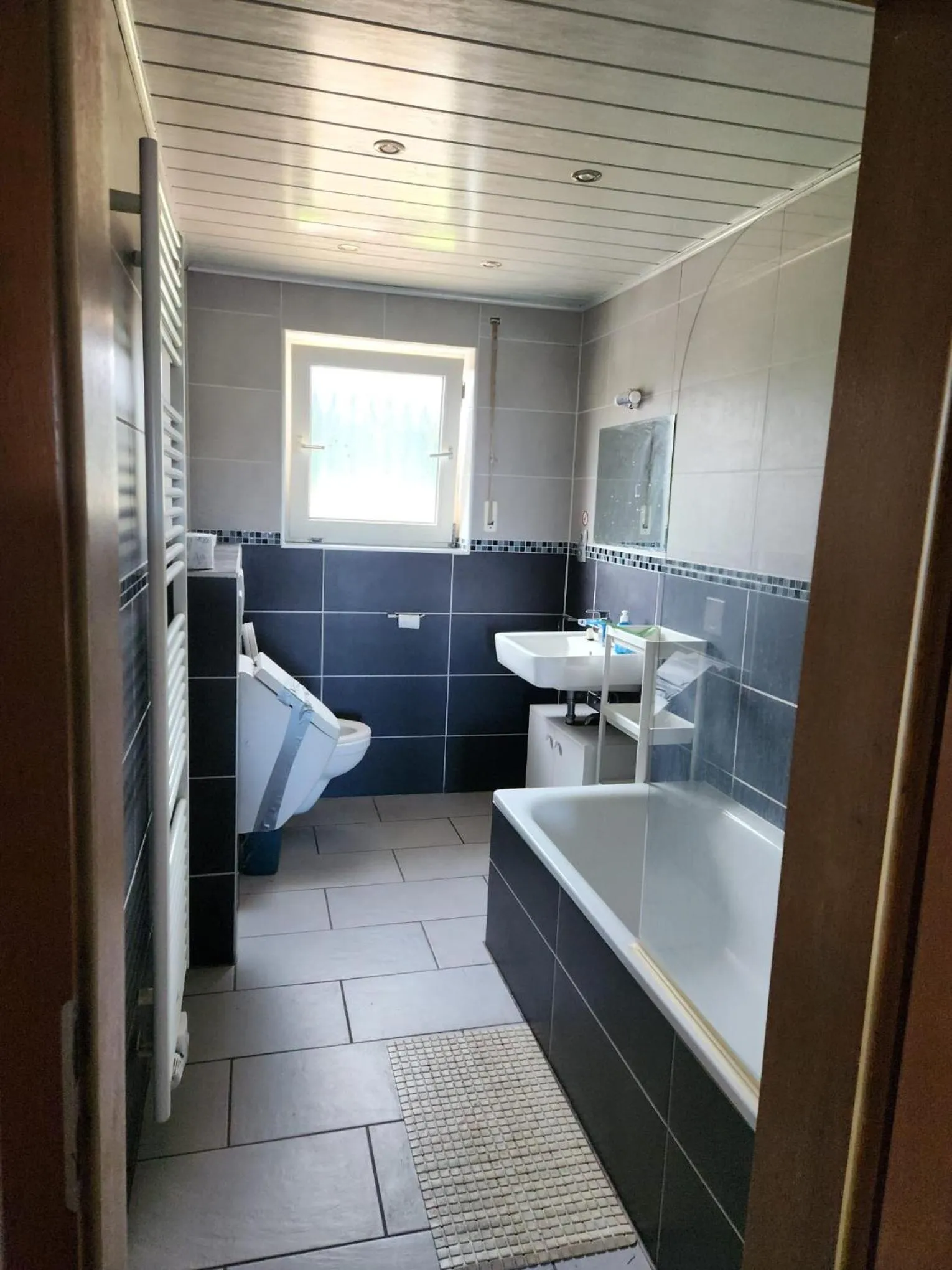 Shower in Gasthaus Hochwald