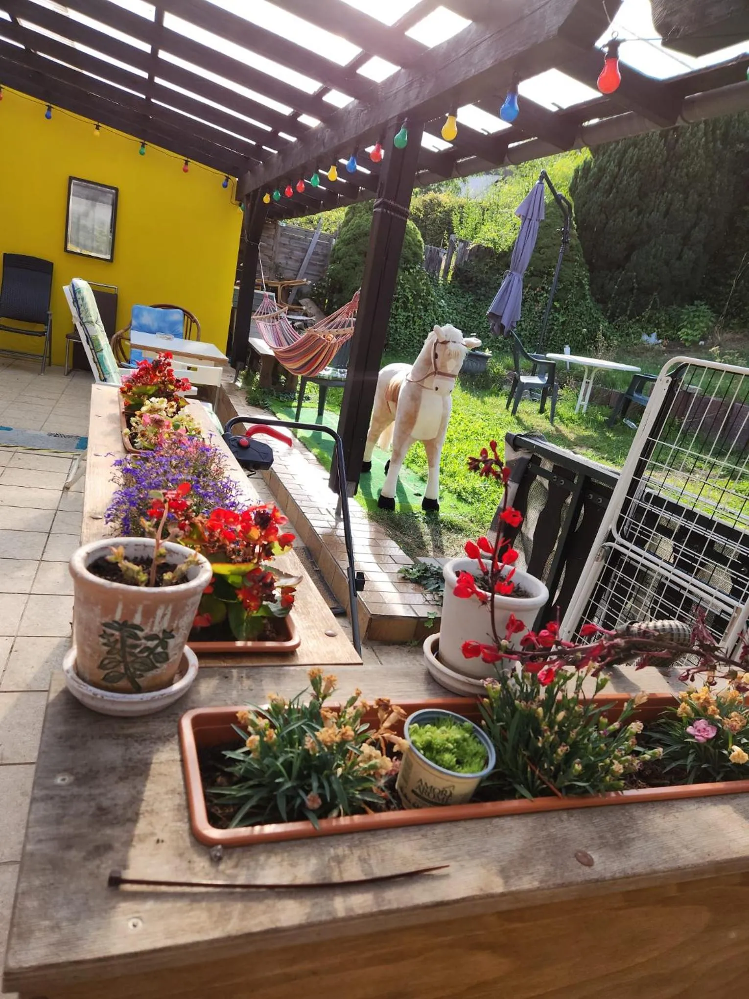 Balcony/Terrace in Gasthaus Hochwald