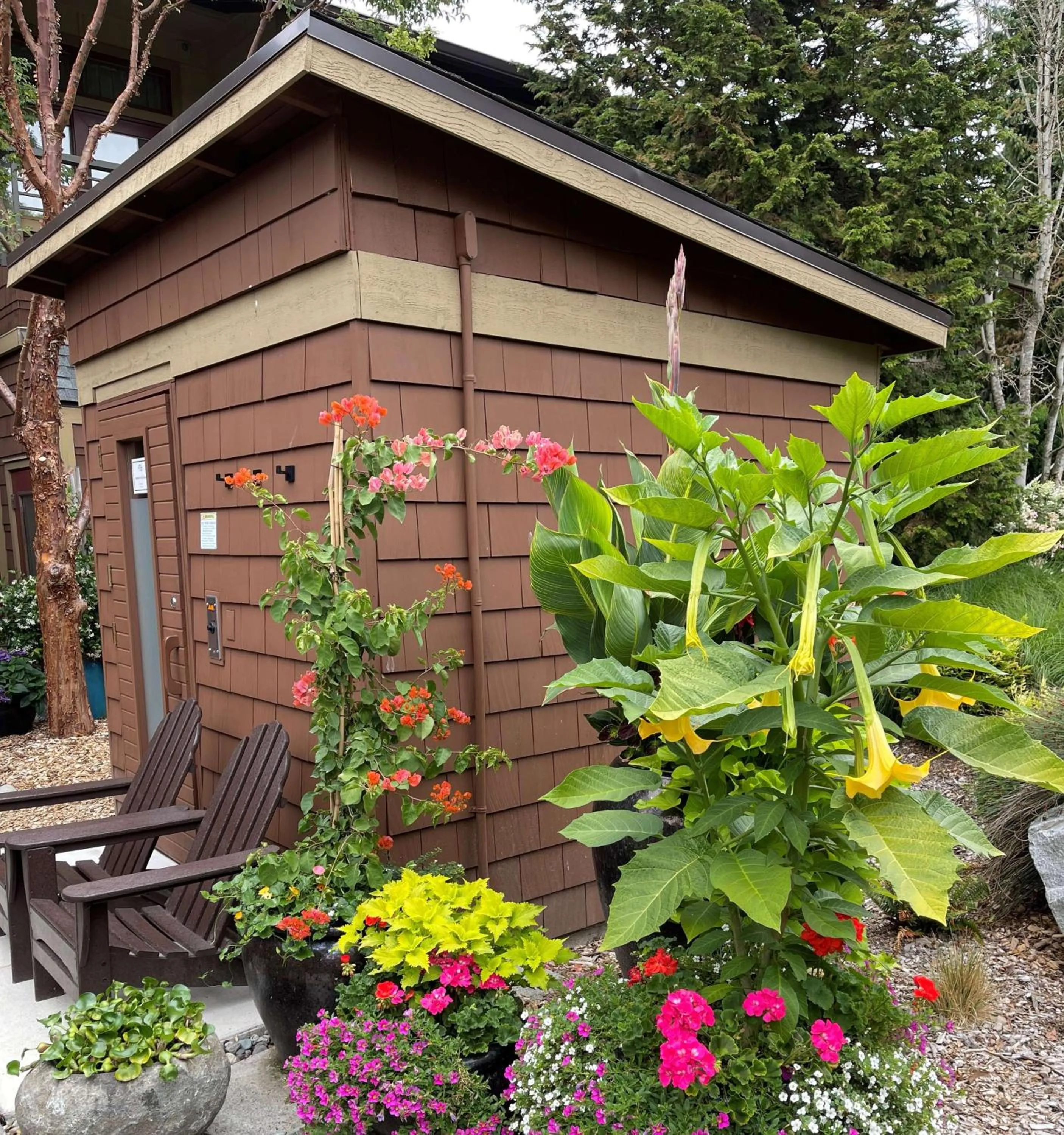 Property building in Willows Lodge