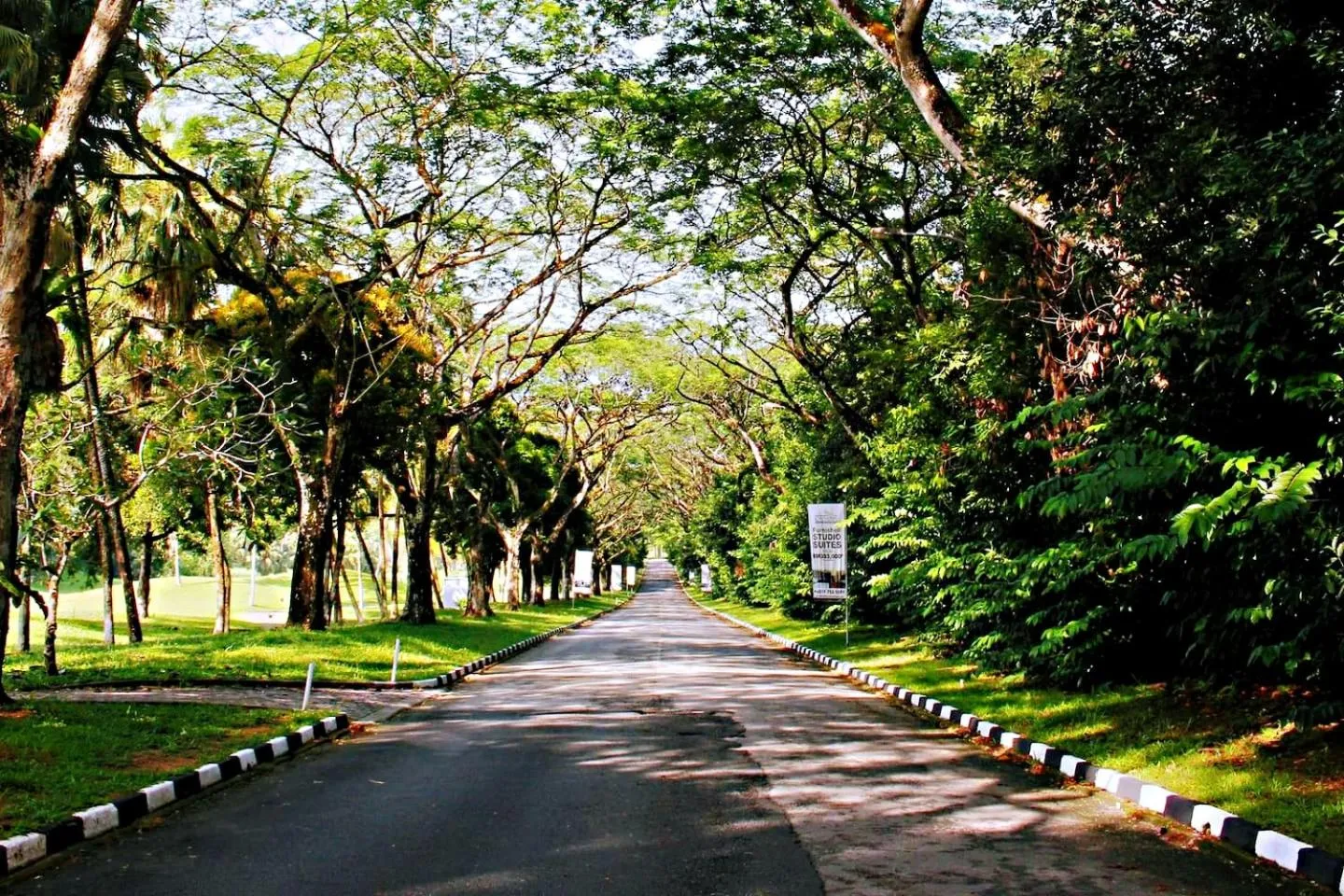 Natural landscape in 【Amazing】Pool View 2BR Suite @ Pulai Springs Resort