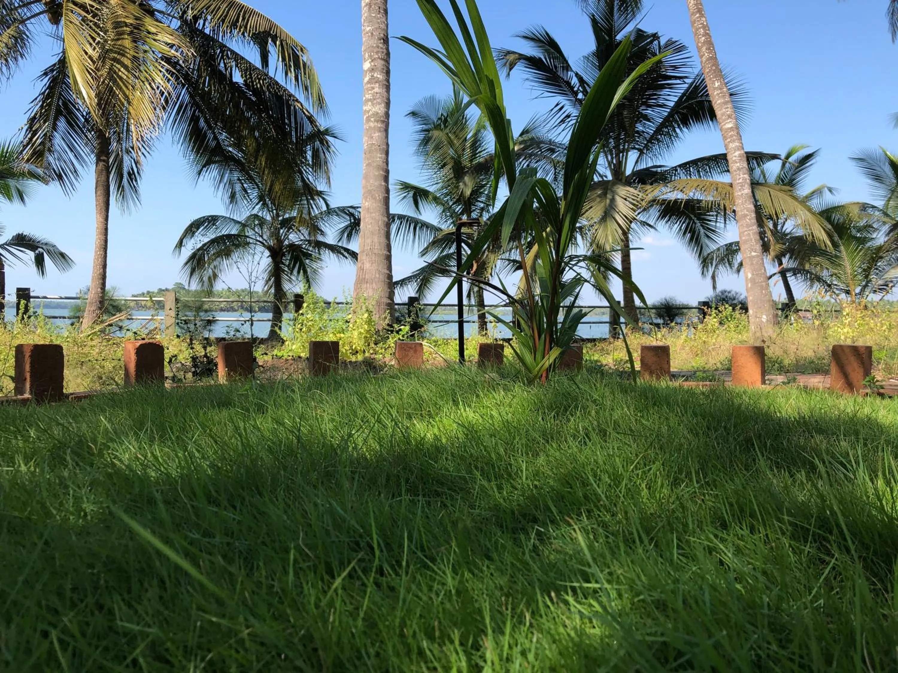 Garden in Candlehut Homestay