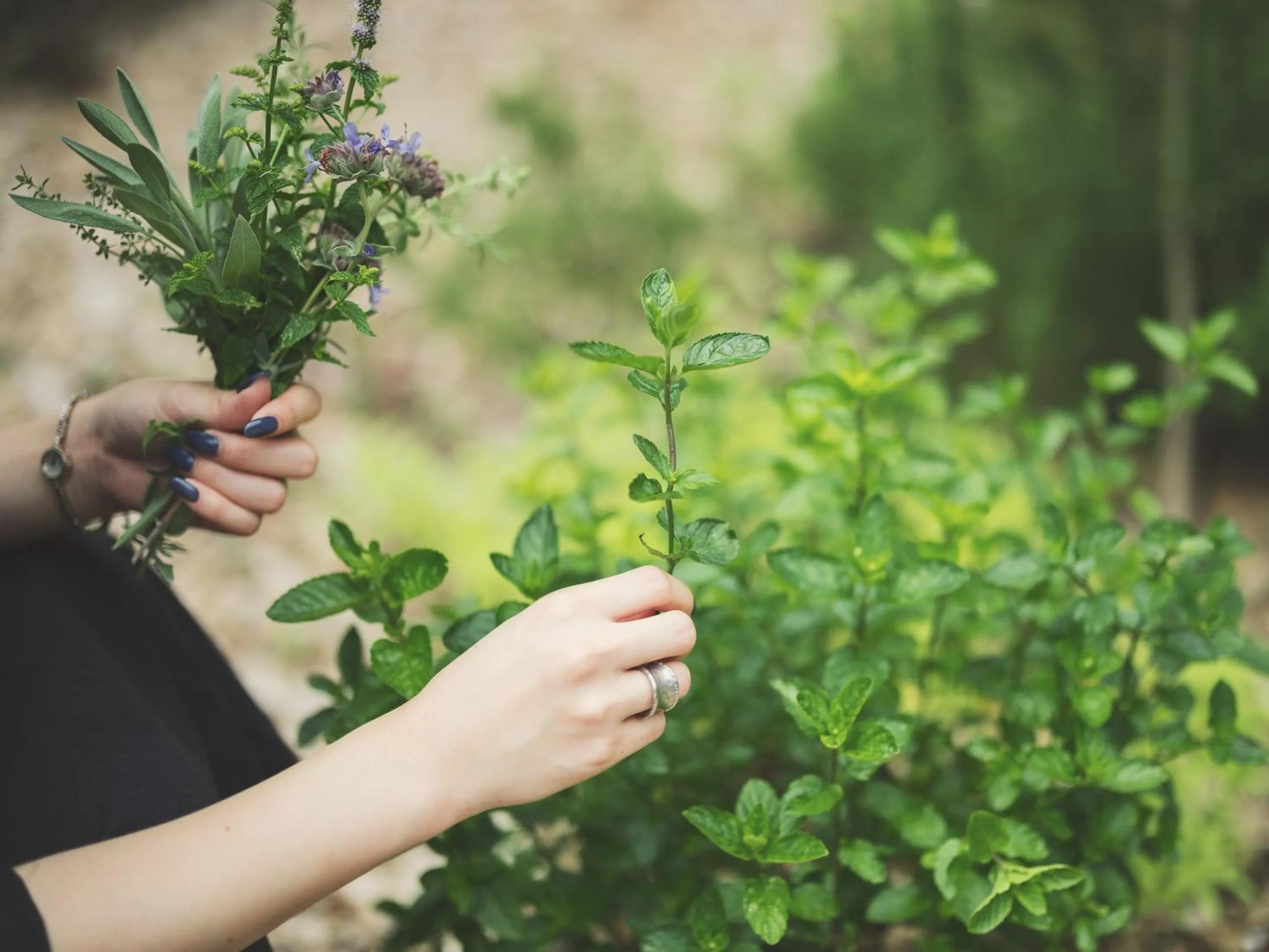 Garden in SOKI ATAMI