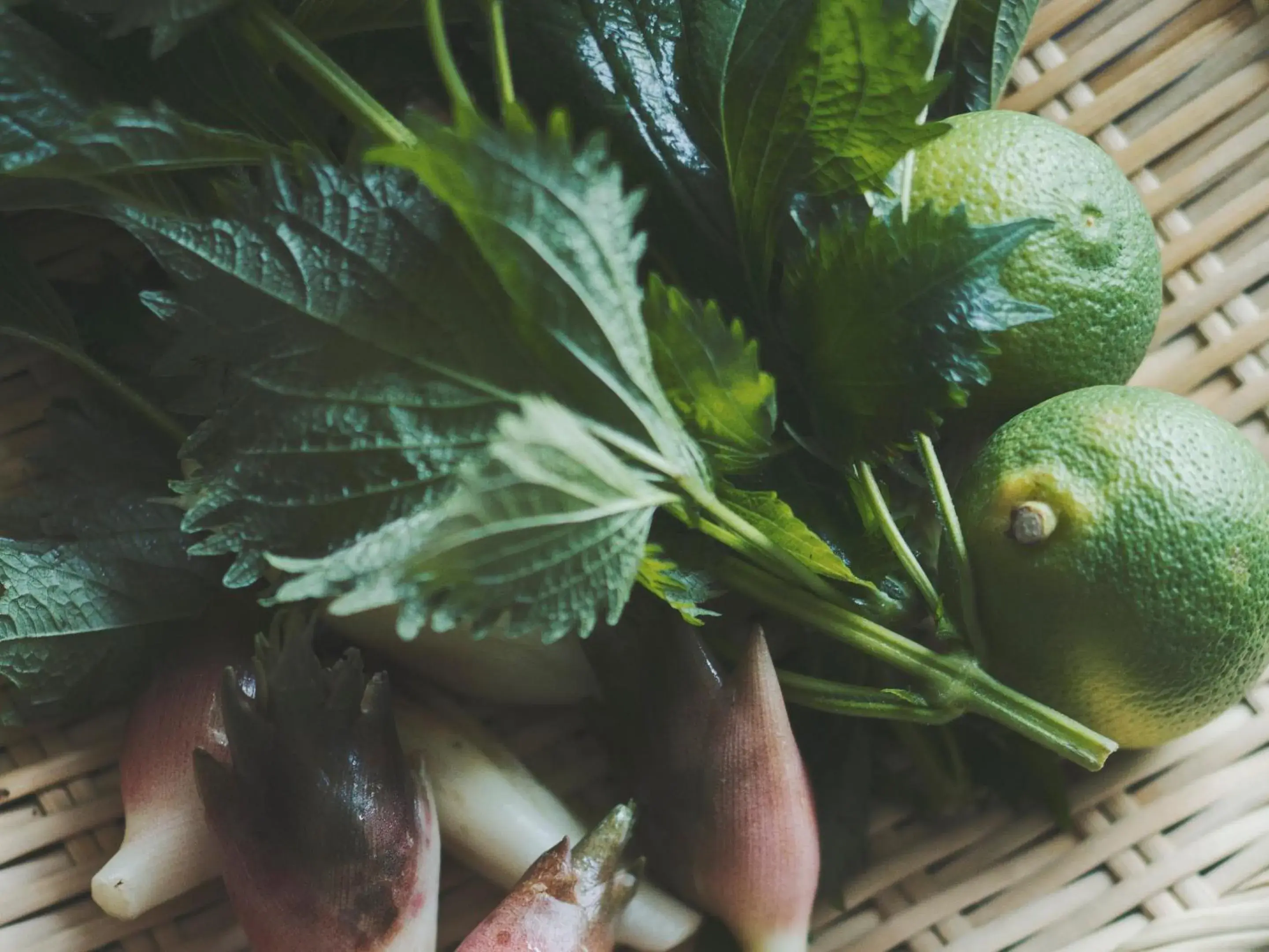 Food and drinks in SOKI ATAMI Food and drinks in SOKI ATAMI