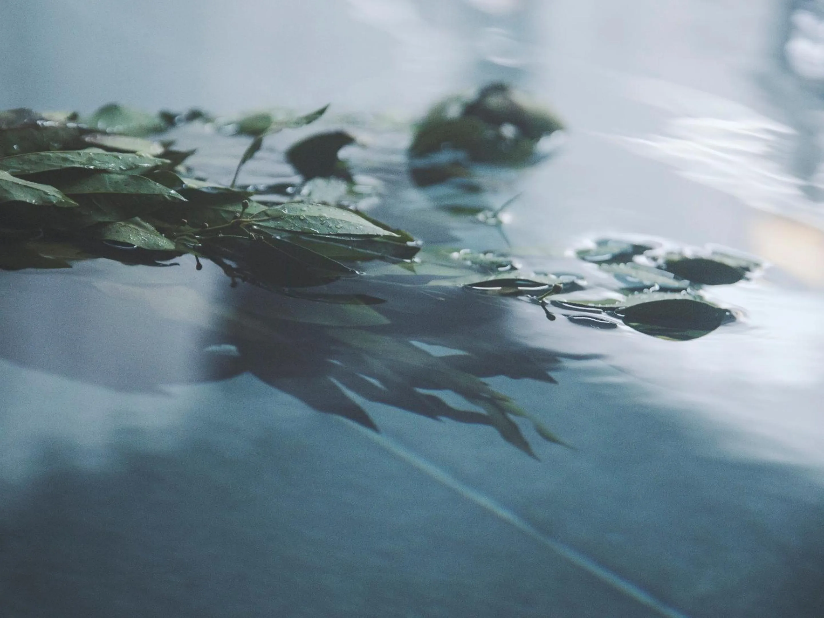 Public Bath in SOKI ATAMI