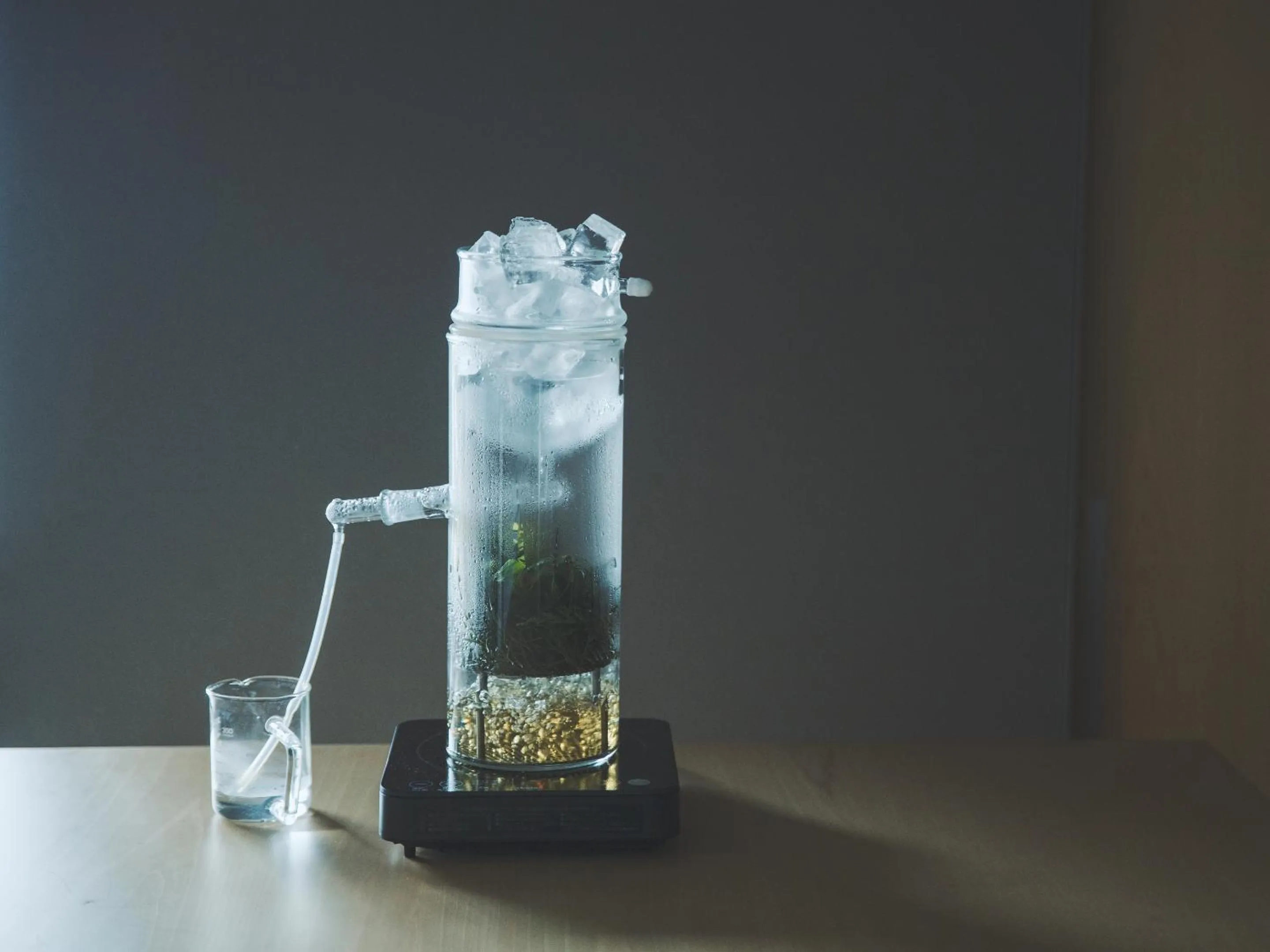 Lounge or bar in SOKI ATAMI