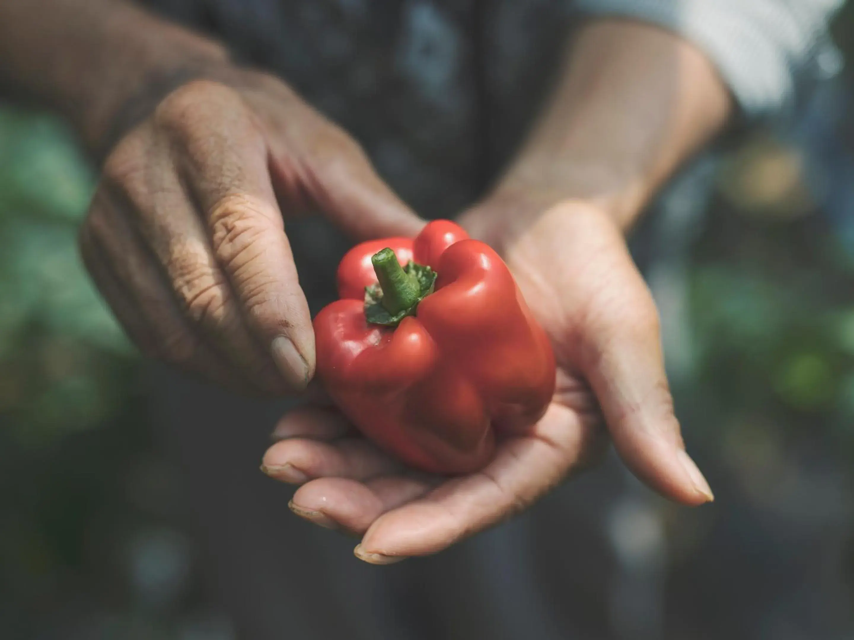 Food and drinks in SOKI ATAMI Food and drinks in SOKI ATAMI