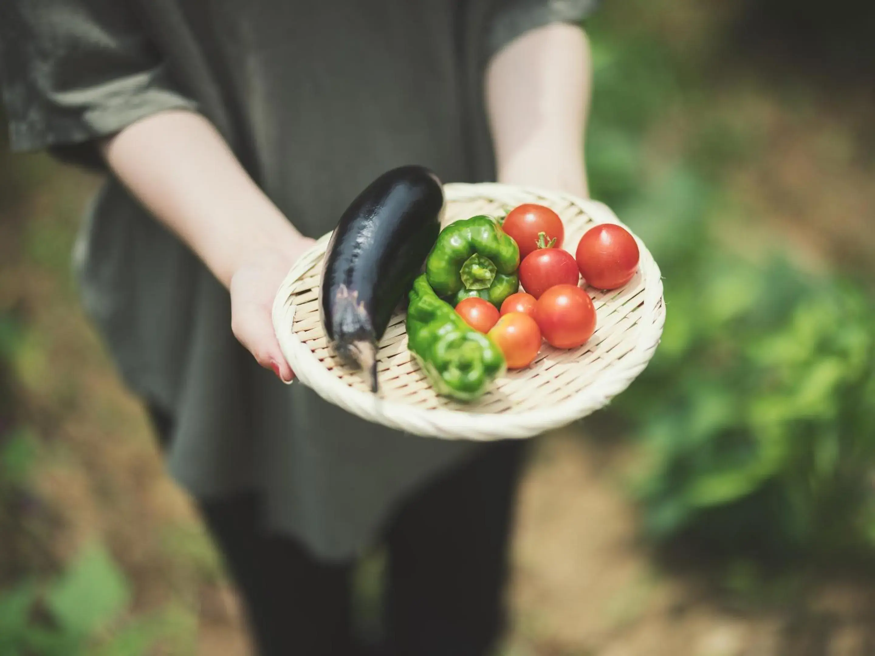 Food and drinks in SOKI ATAMI Food and drinks in SOKI ATAMI