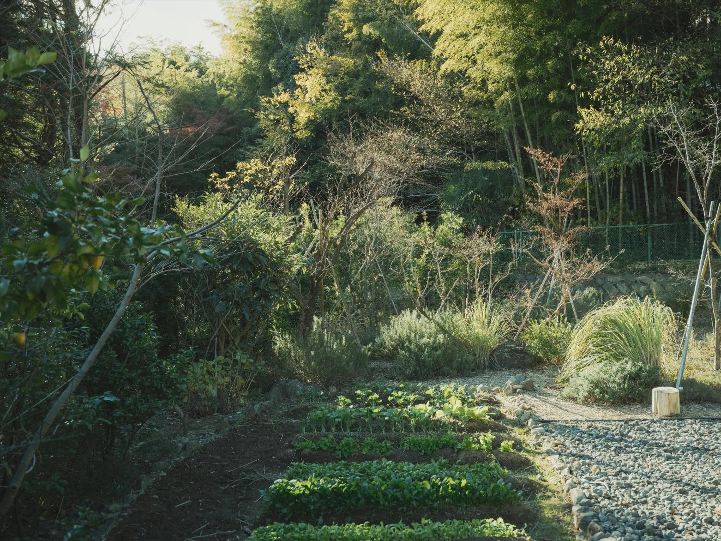 Garden in SOKI ATAMI