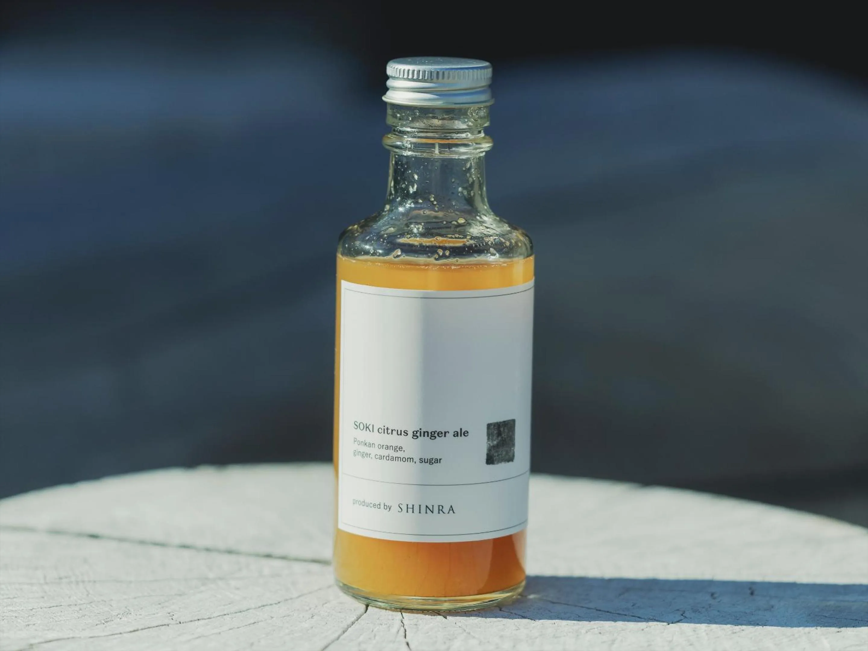 Lounge or bar in SOKI ATAMI