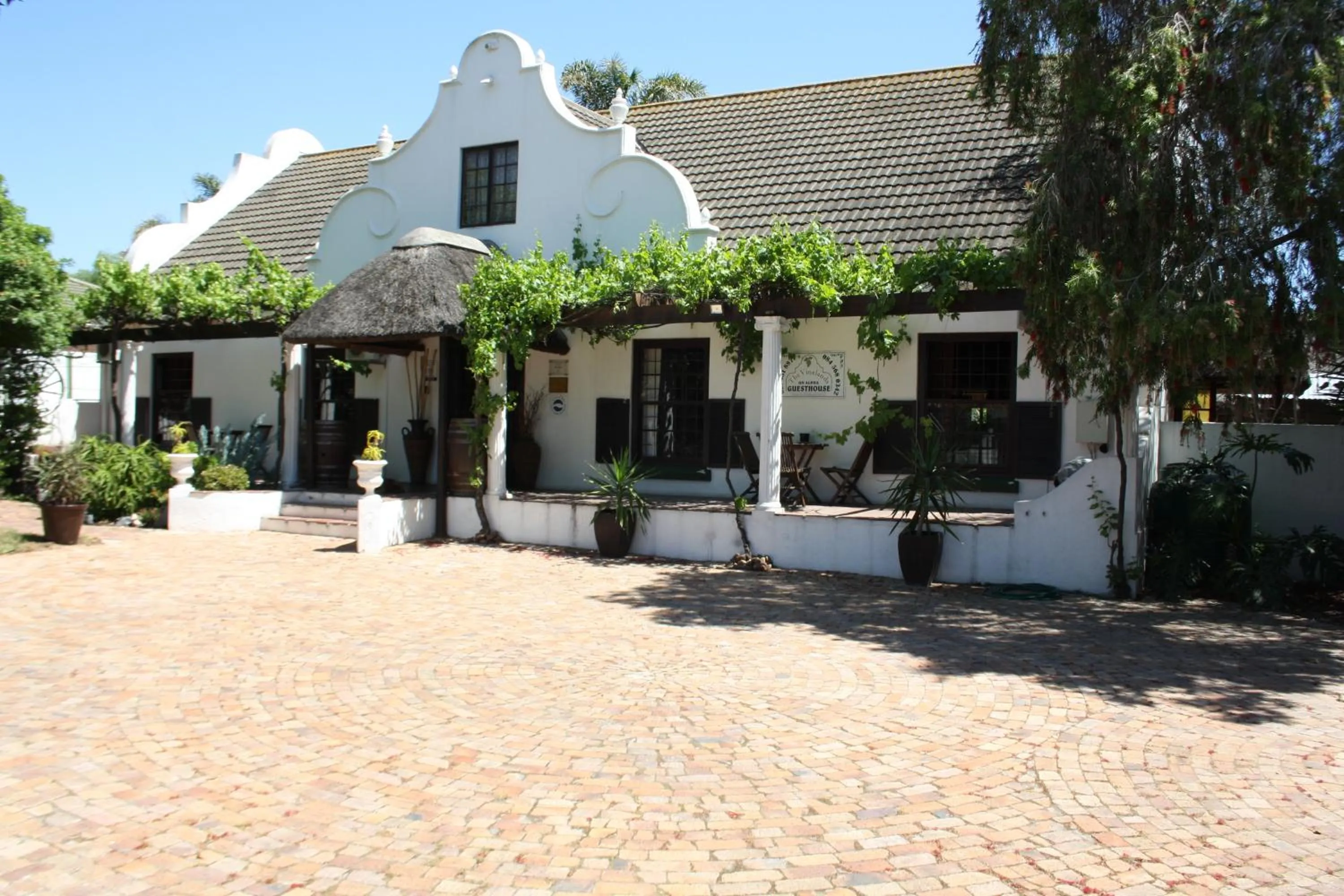 The Vinelands on Alpha Guest House