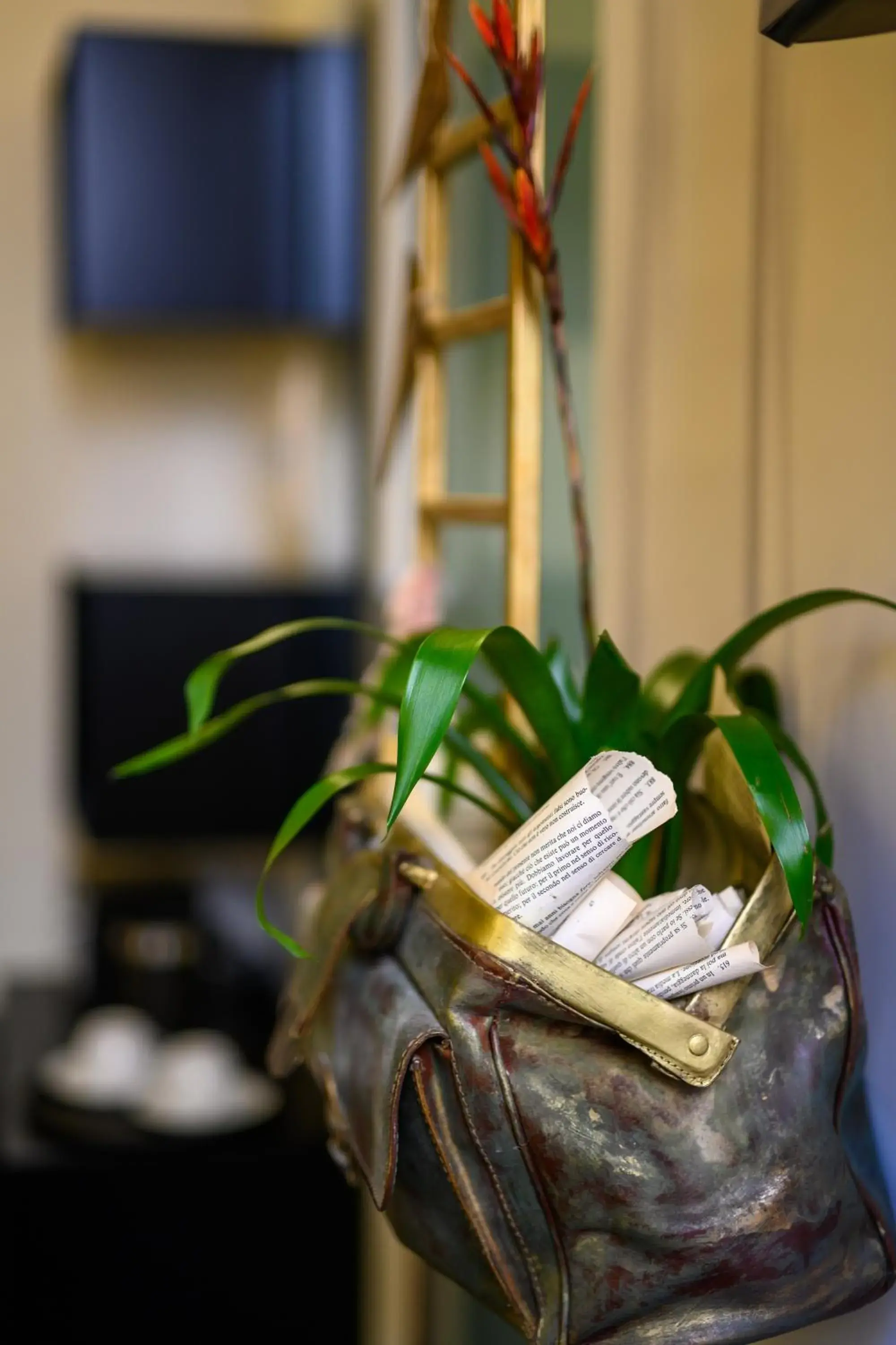 Superior Double Room in Mastropasqua BB Superior Double Room in Mastropasqua BB