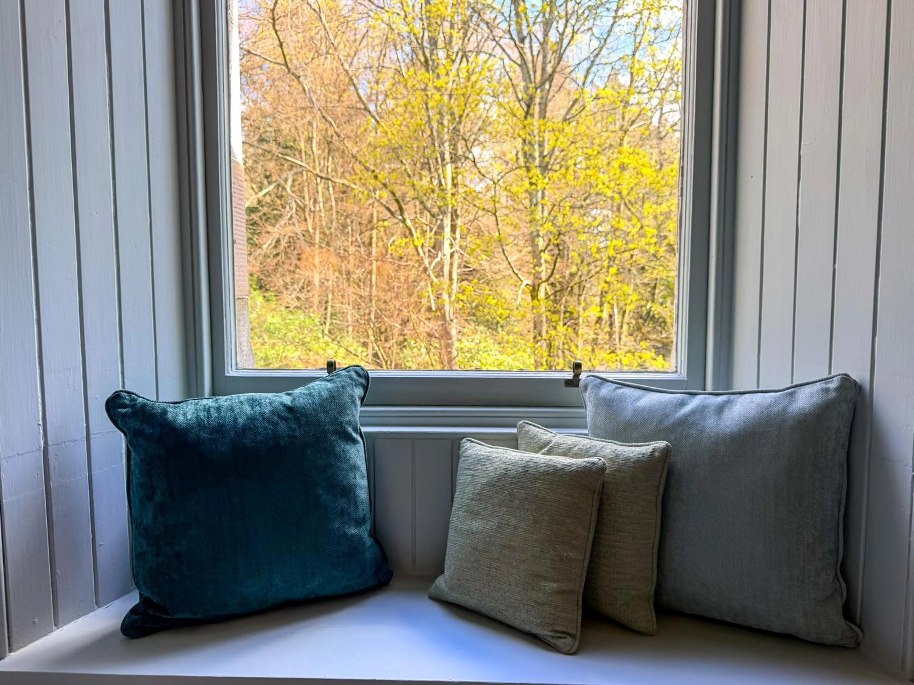 View (from property/room) in Birchwood Pitlochry