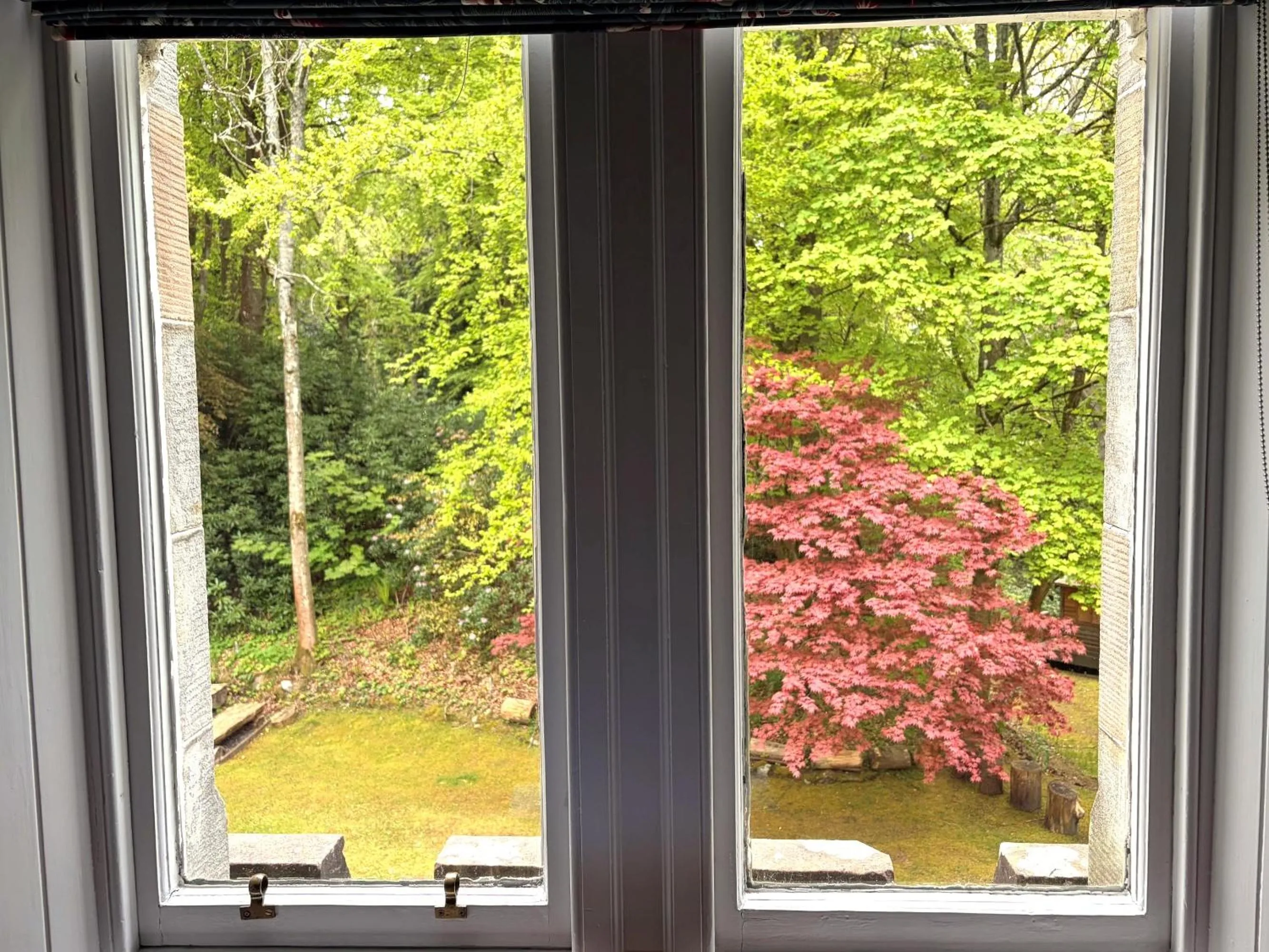 View (from property/room) in Birchwood Pitlochry