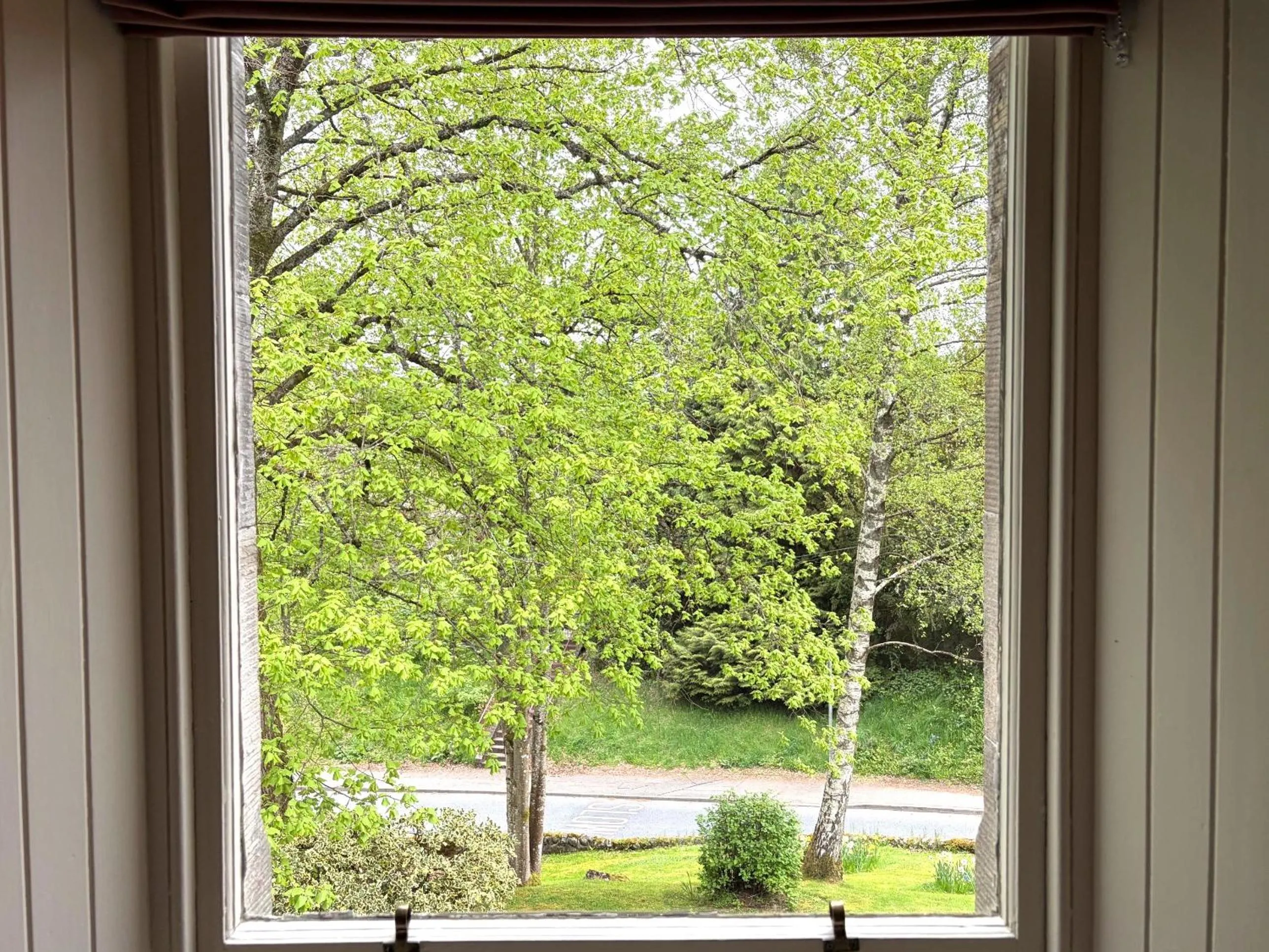 View (from property/room) in Birchwood Pitlochry