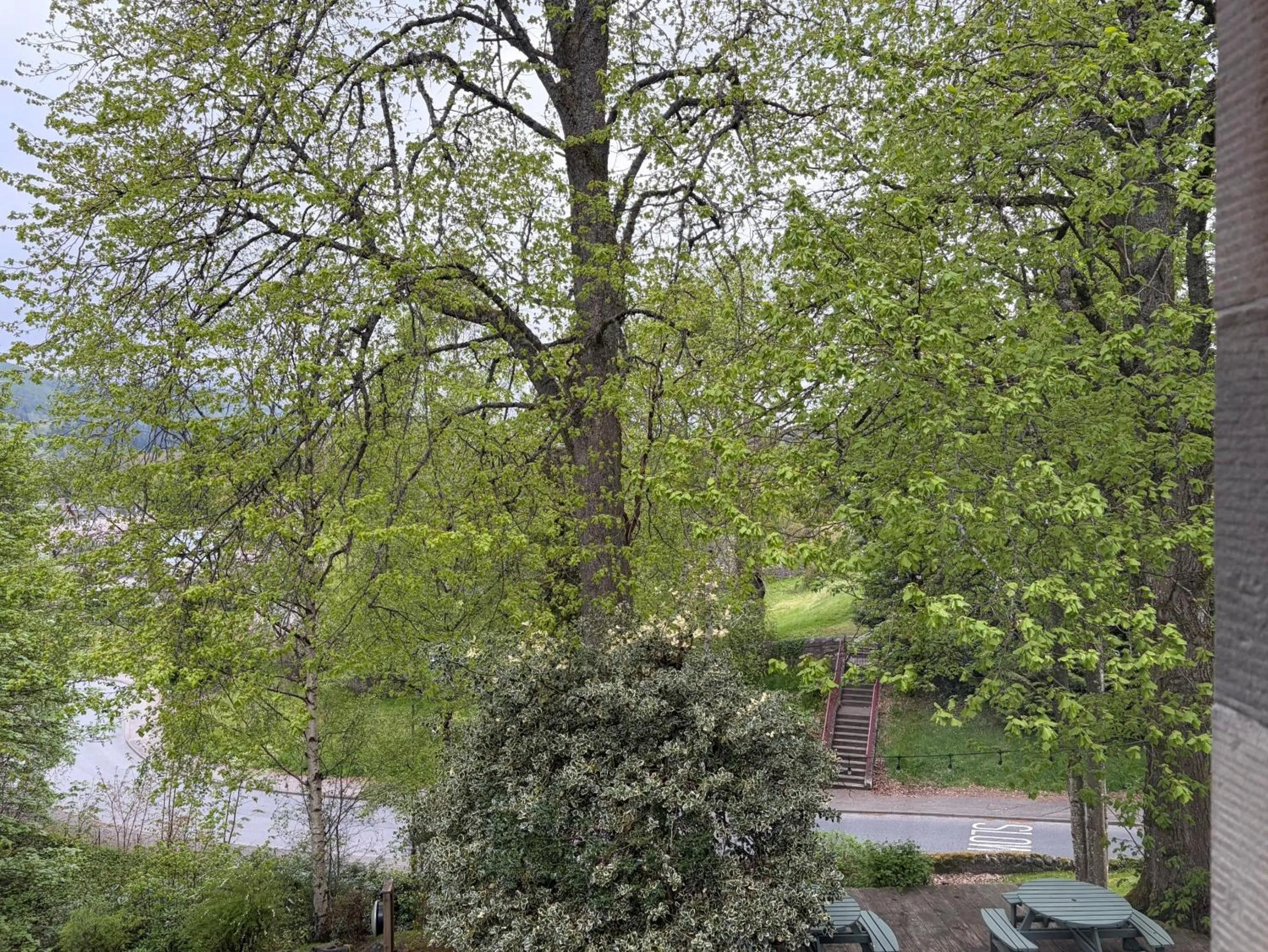 View (from property/room) in Birchwood Pitlochry