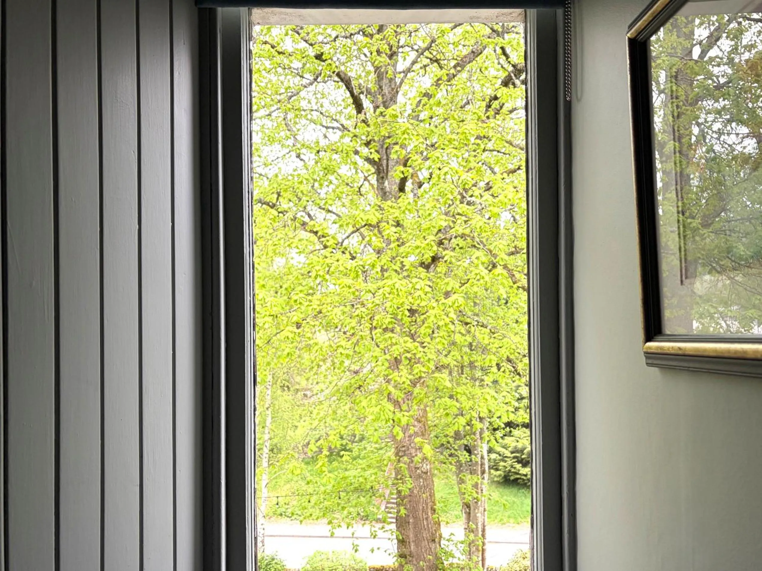 View (from property/room) in Birchwood Pitlochry