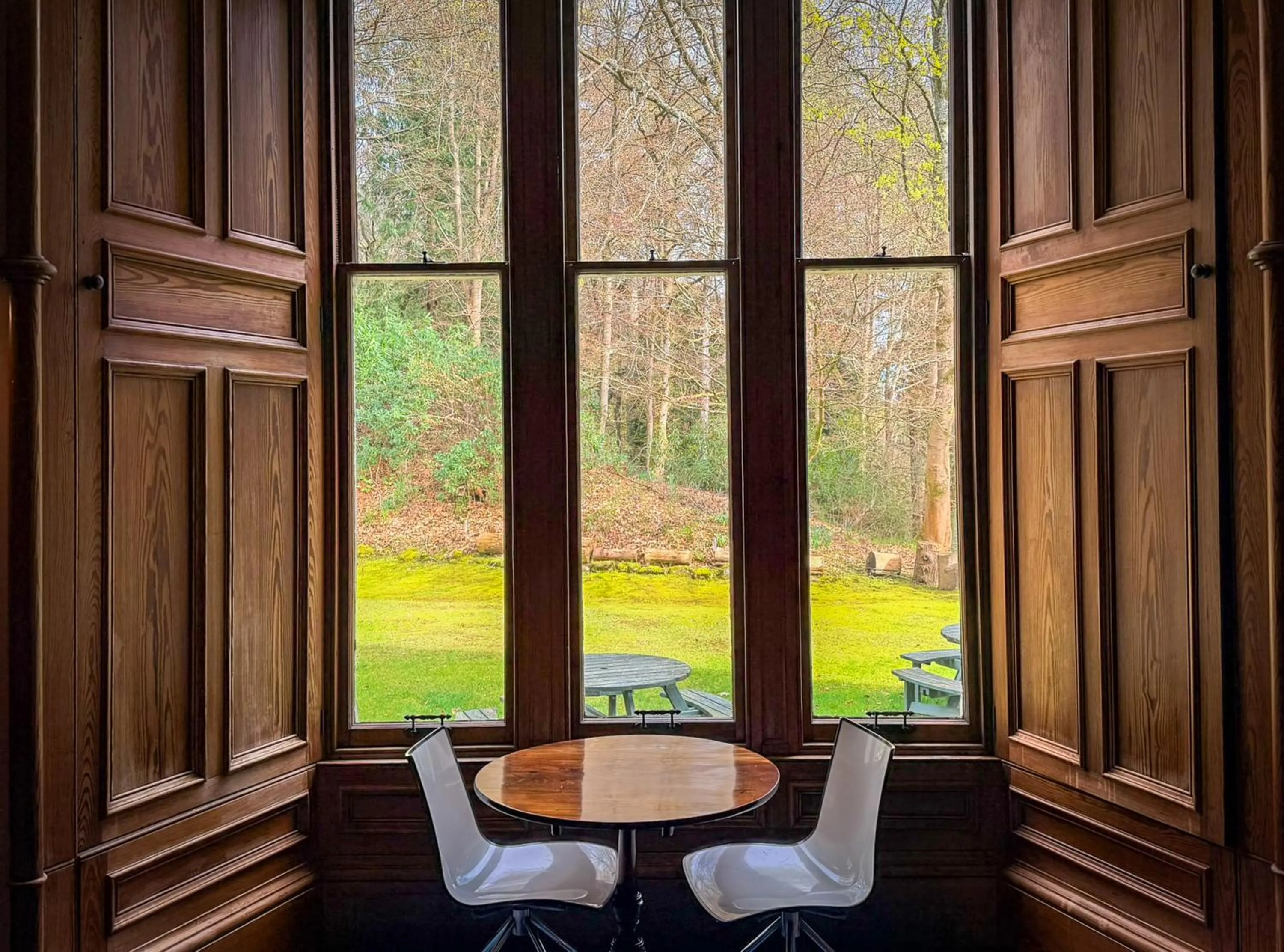 Spring in Birchwood Pitlochry