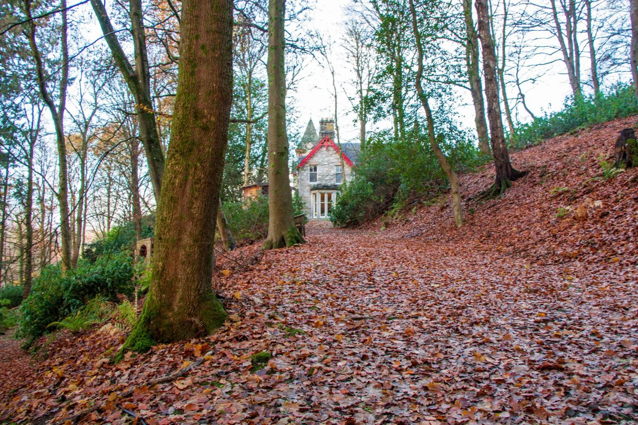 Natural landscape in Birchwood Pitlochry