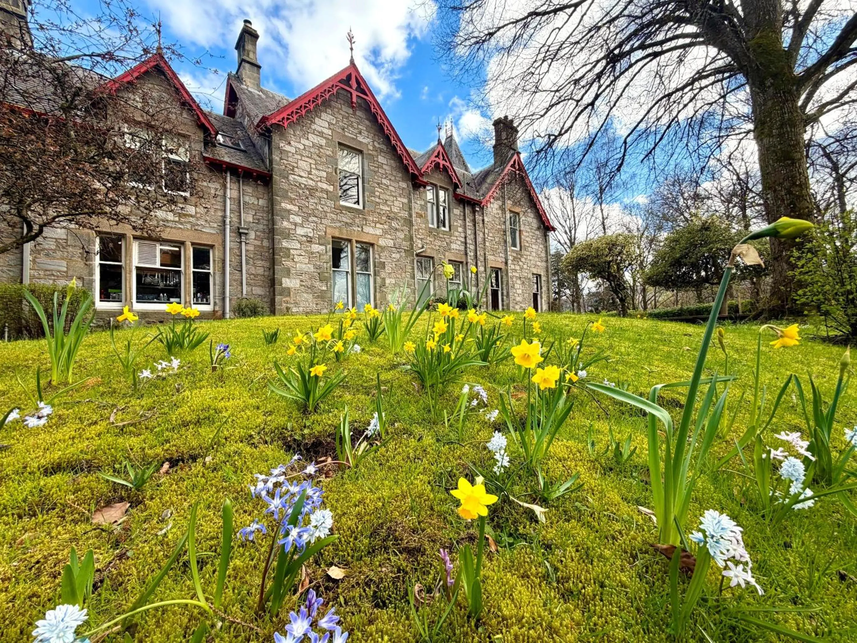 Property building in Birchwood Pitlochry