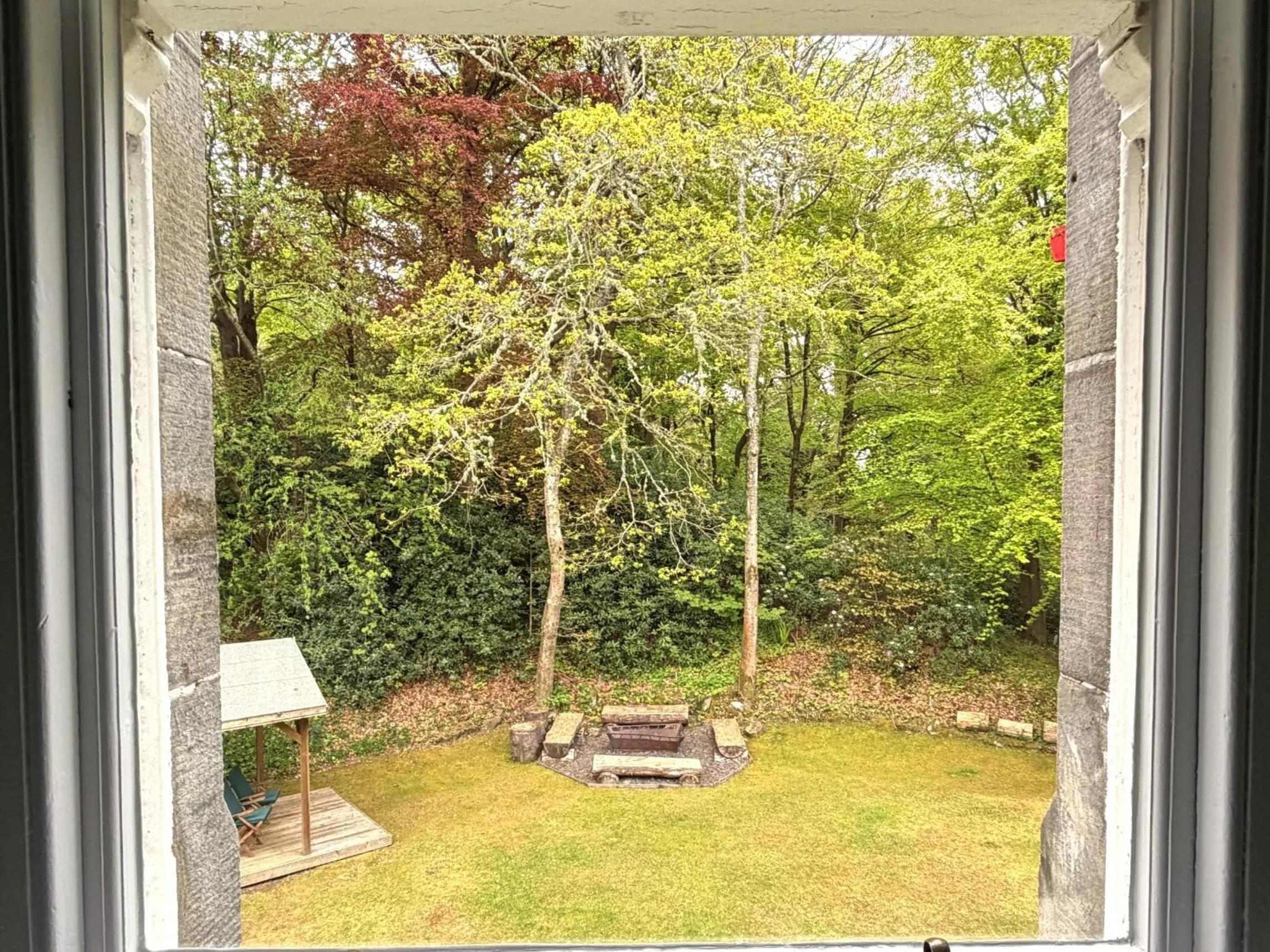 Natural landscape in Birchwood Pitlochry