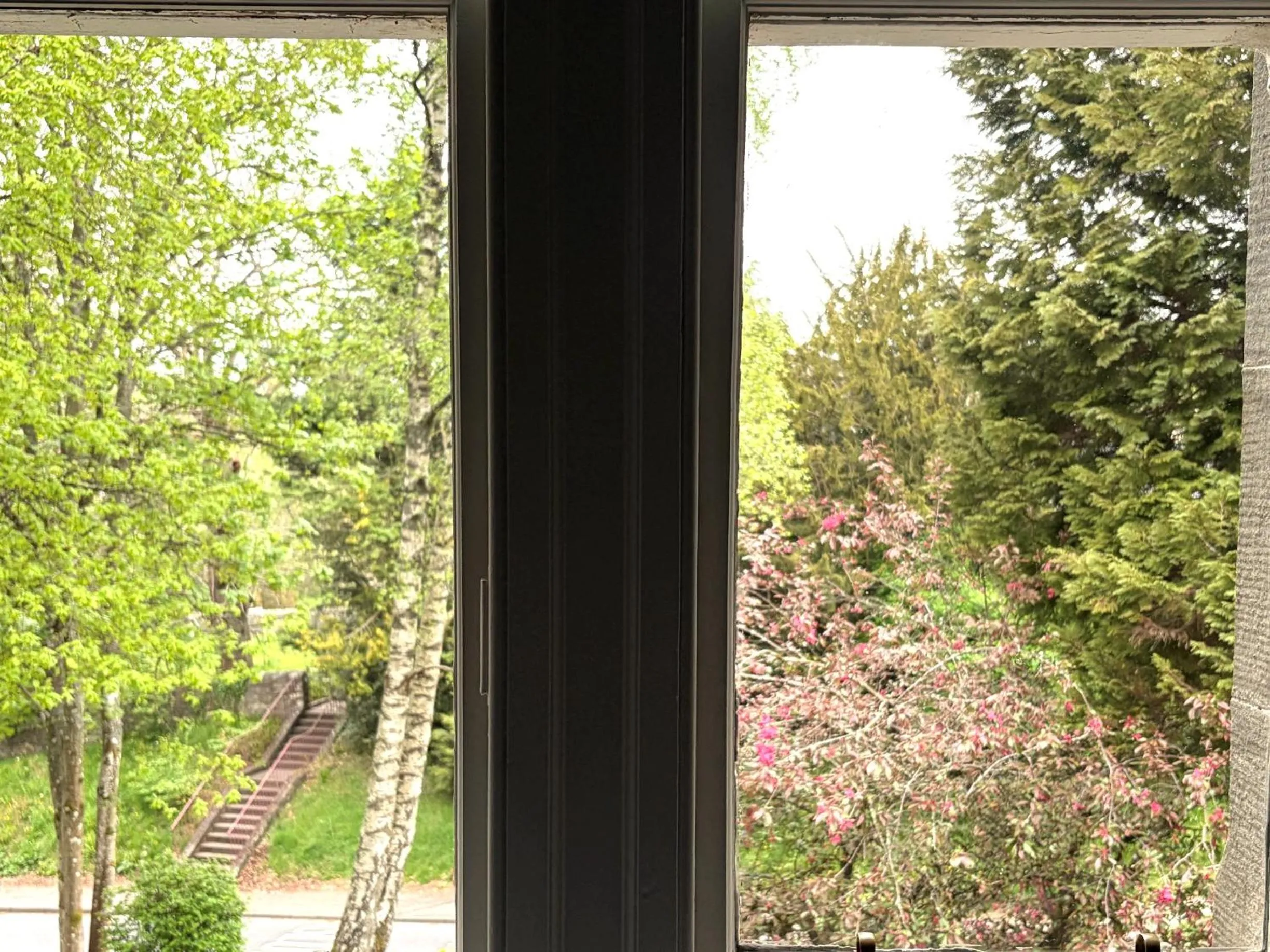 Garden view in Birchwood Pitlochry