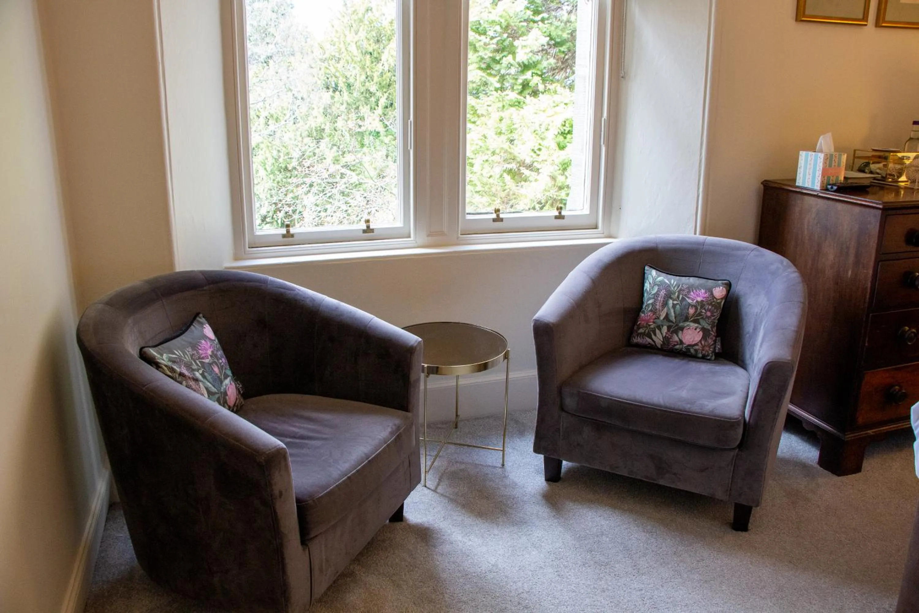 View (from property/room) in Birchwood Pitlochry