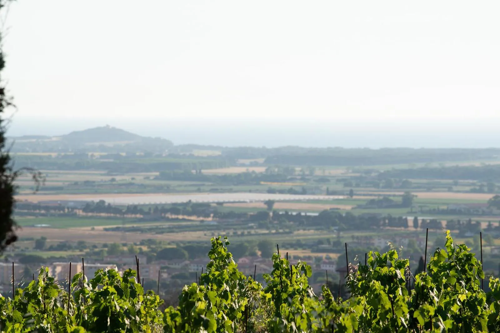 Photo of the whole room in Castello Bonaria Wine & Spa Resort