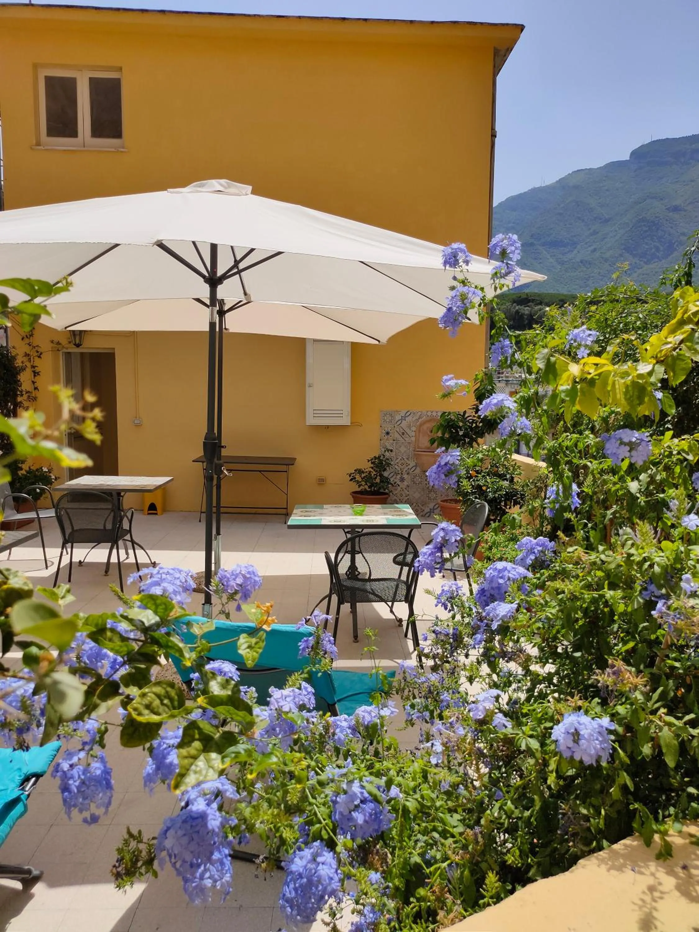 Balcony/Terrace in B&B Il Vialetto