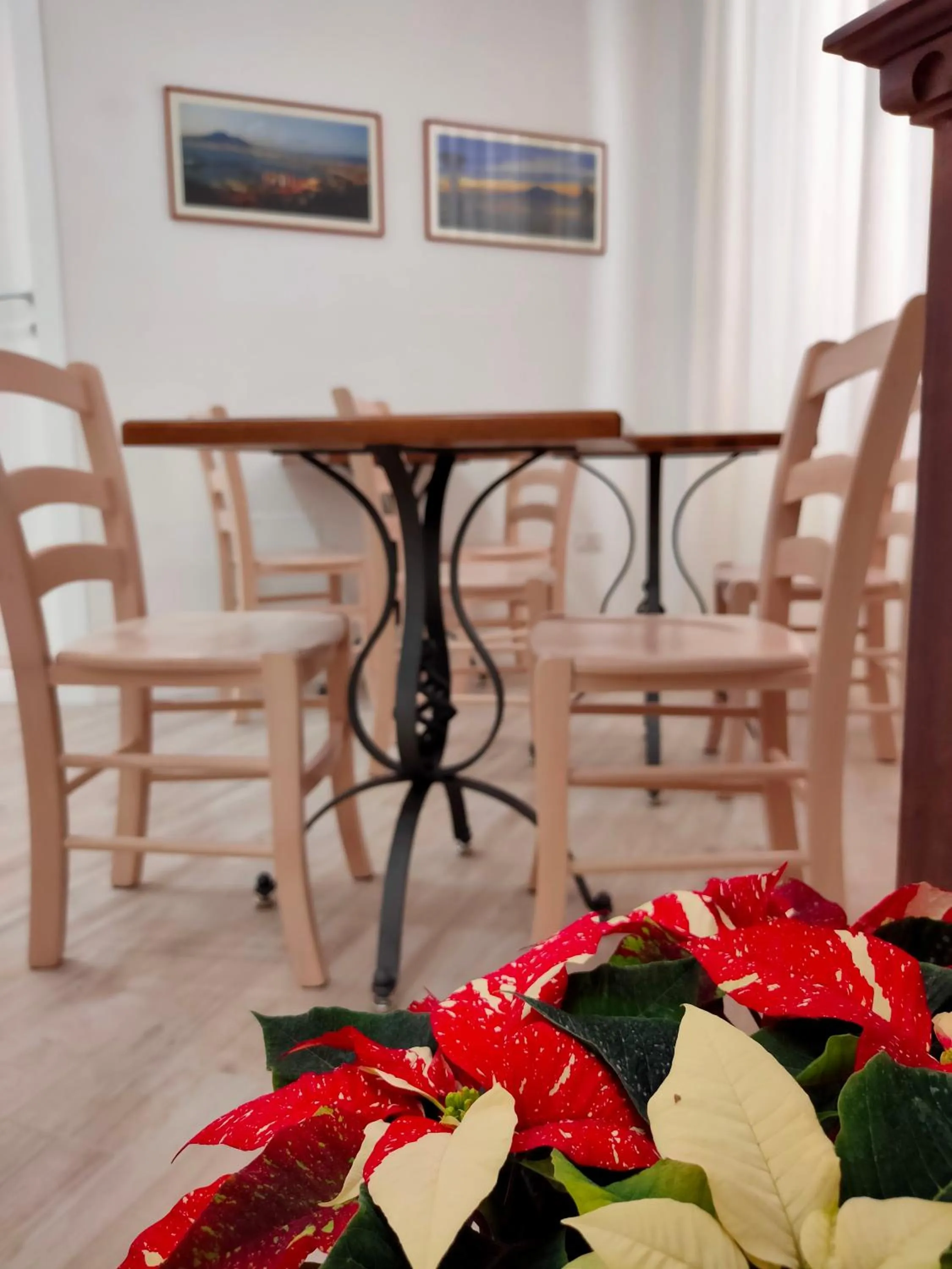 Communal lounge/ TV room in B&B Il Vialetto