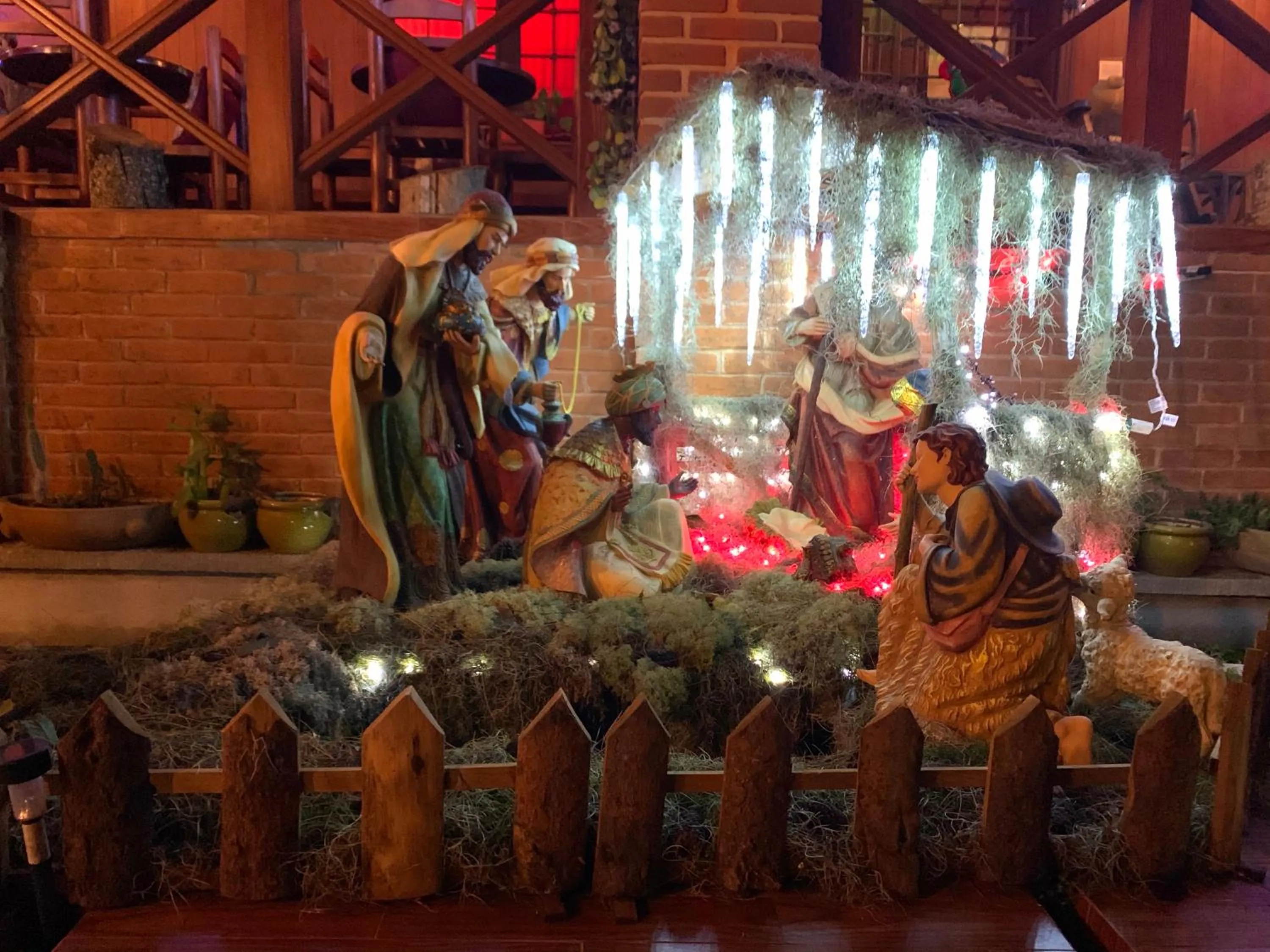 Garden in Quinta Maria Bonita Hotel Boutique