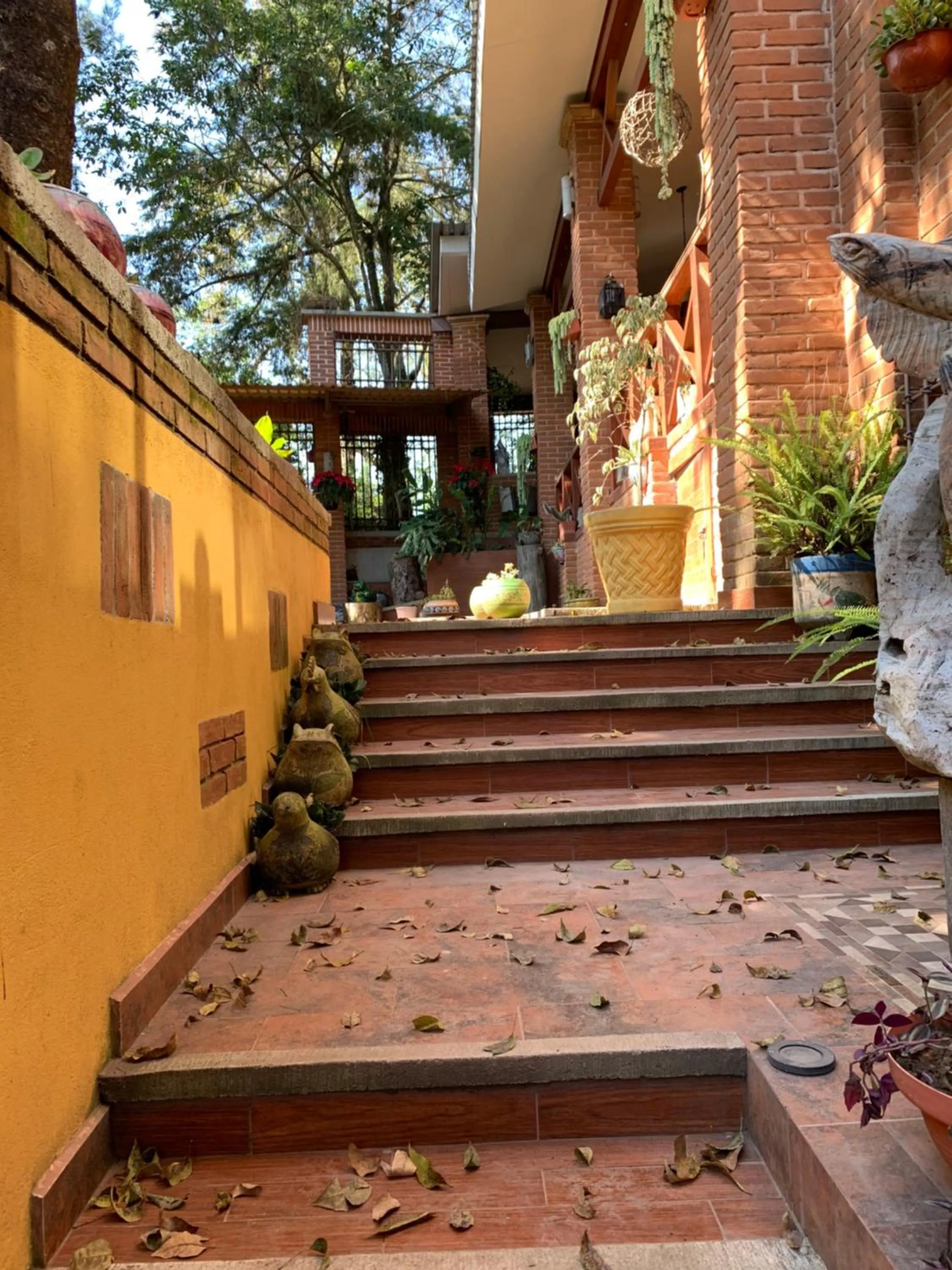 Patio in Quinta Maria Bonita Hotel Boutique