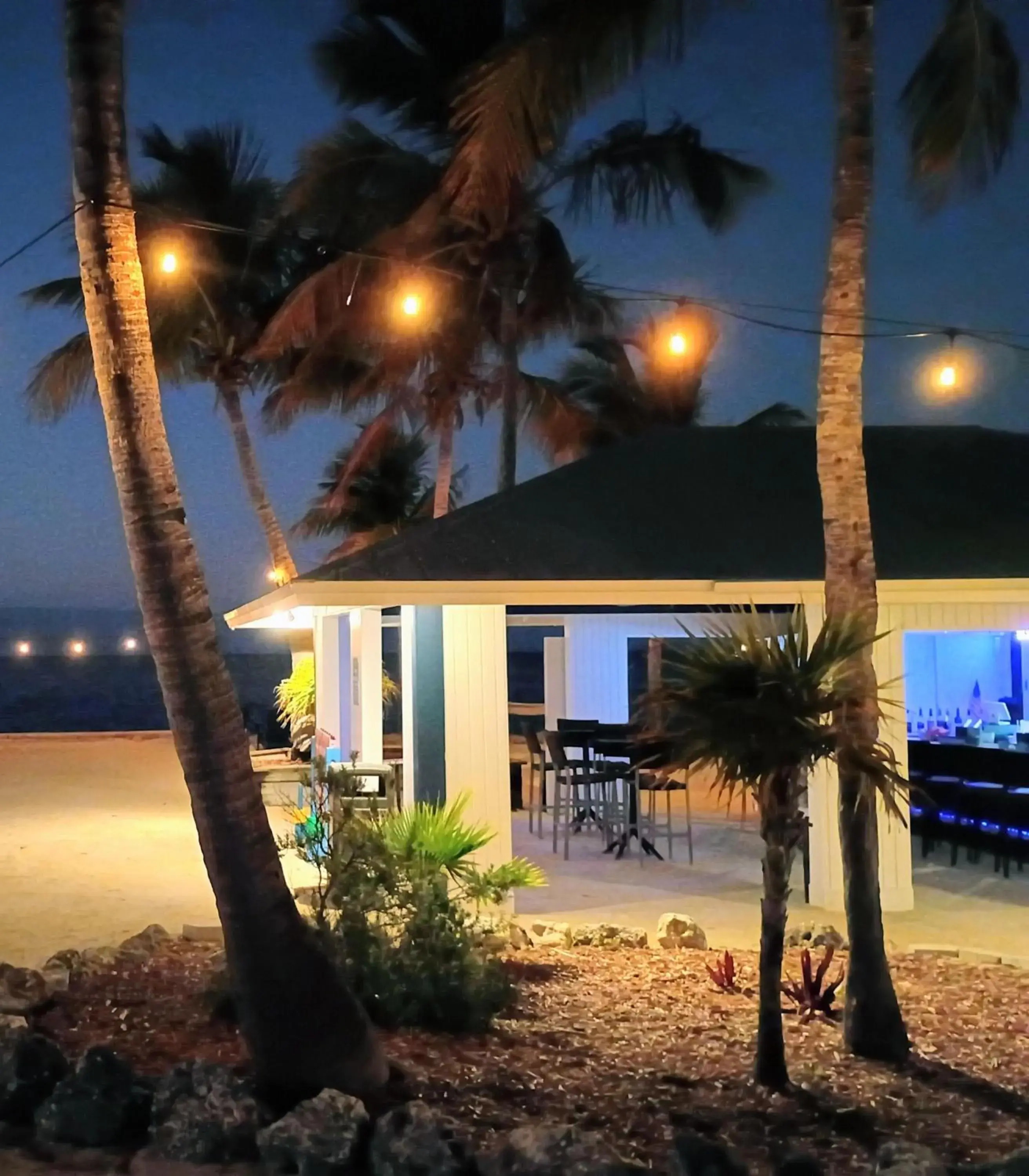 Lounge or bar in Banana Bay Resort & Marina Lounge or bar in Banana Bay Resort & Marina