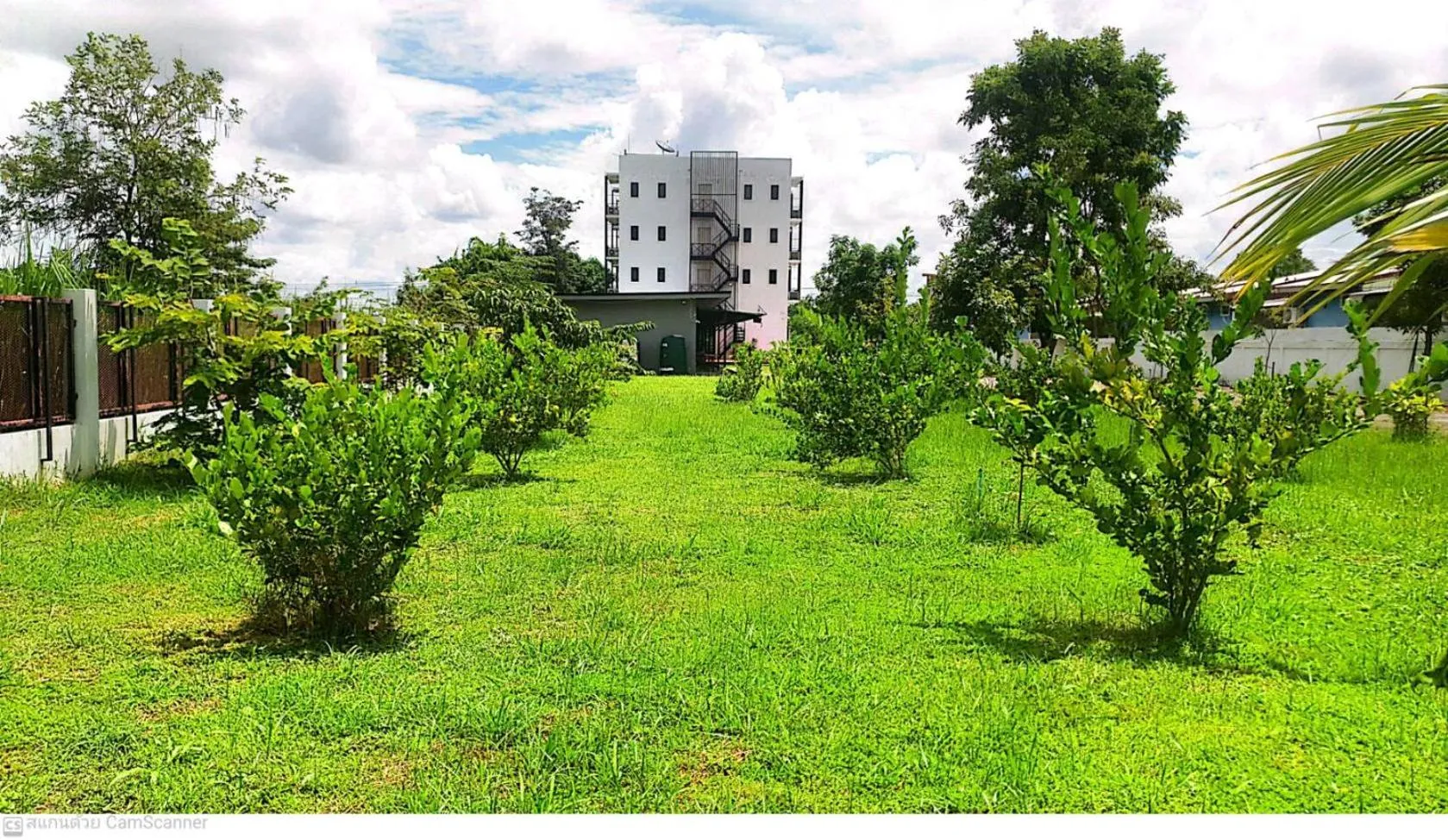 Garden in T-NEE Hotel@Udon
