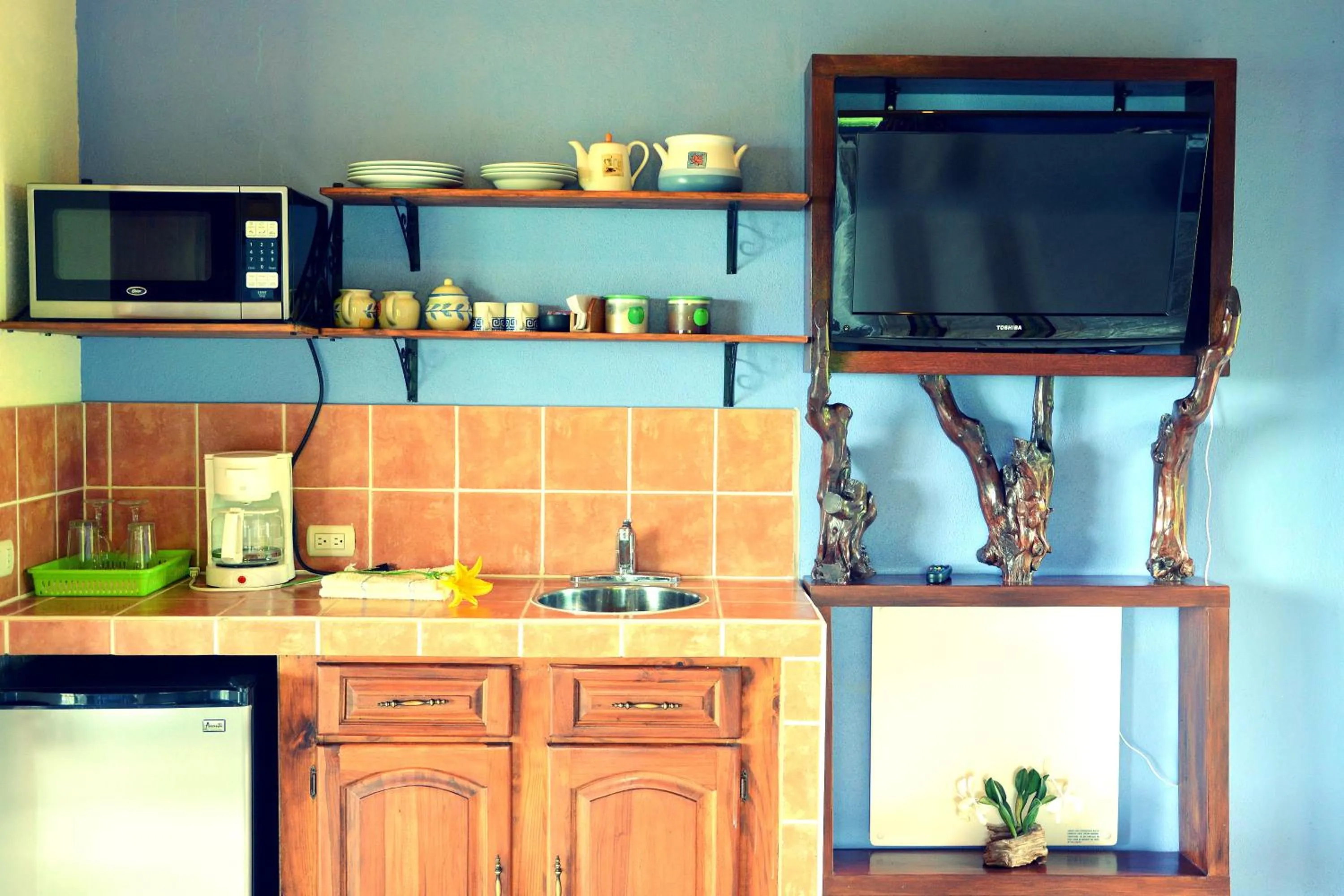 TV and multimedia in Guayabo Lodge