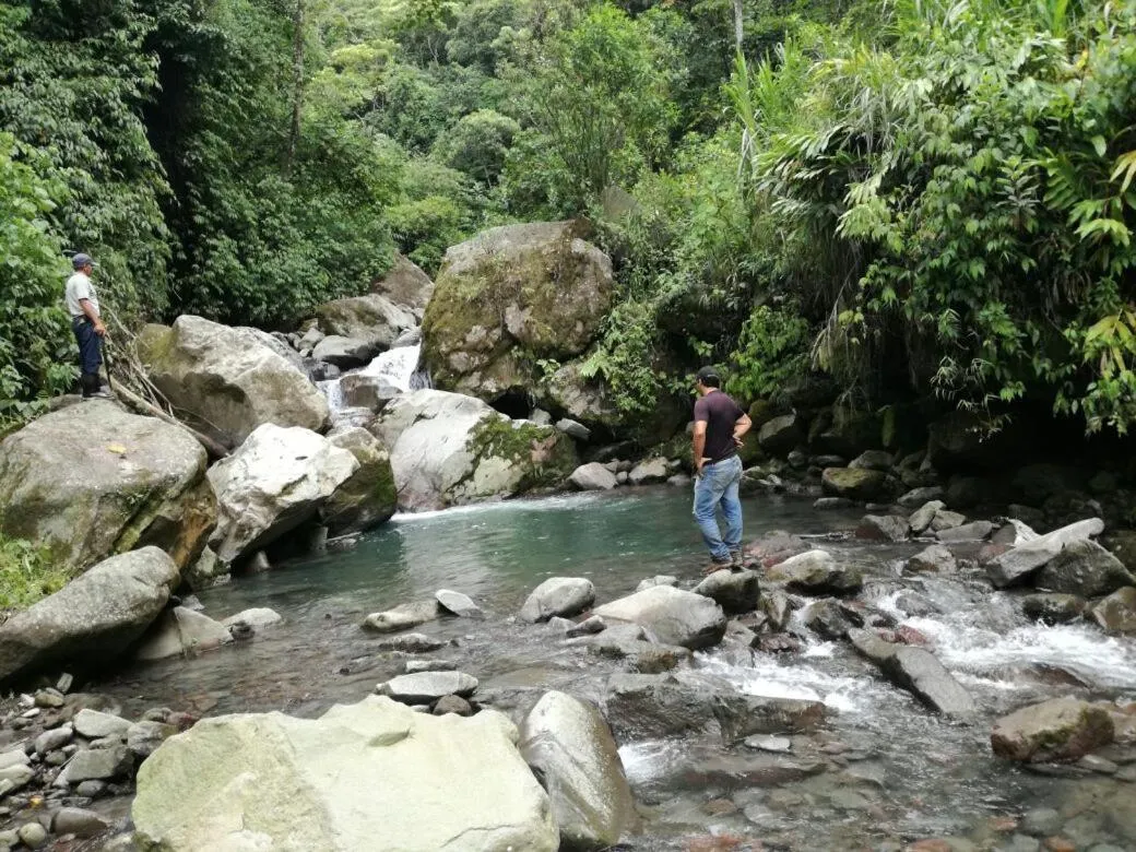 Natural landscape in Guayabo Lodge