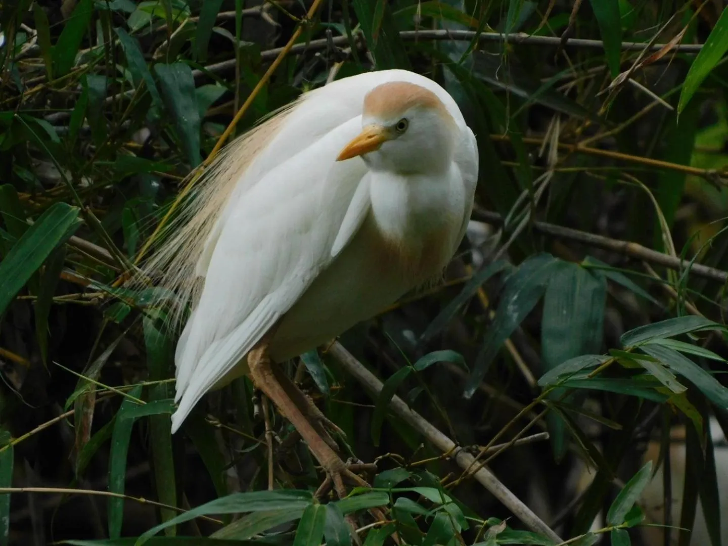 Natural landscape in Guayabo Lodge
