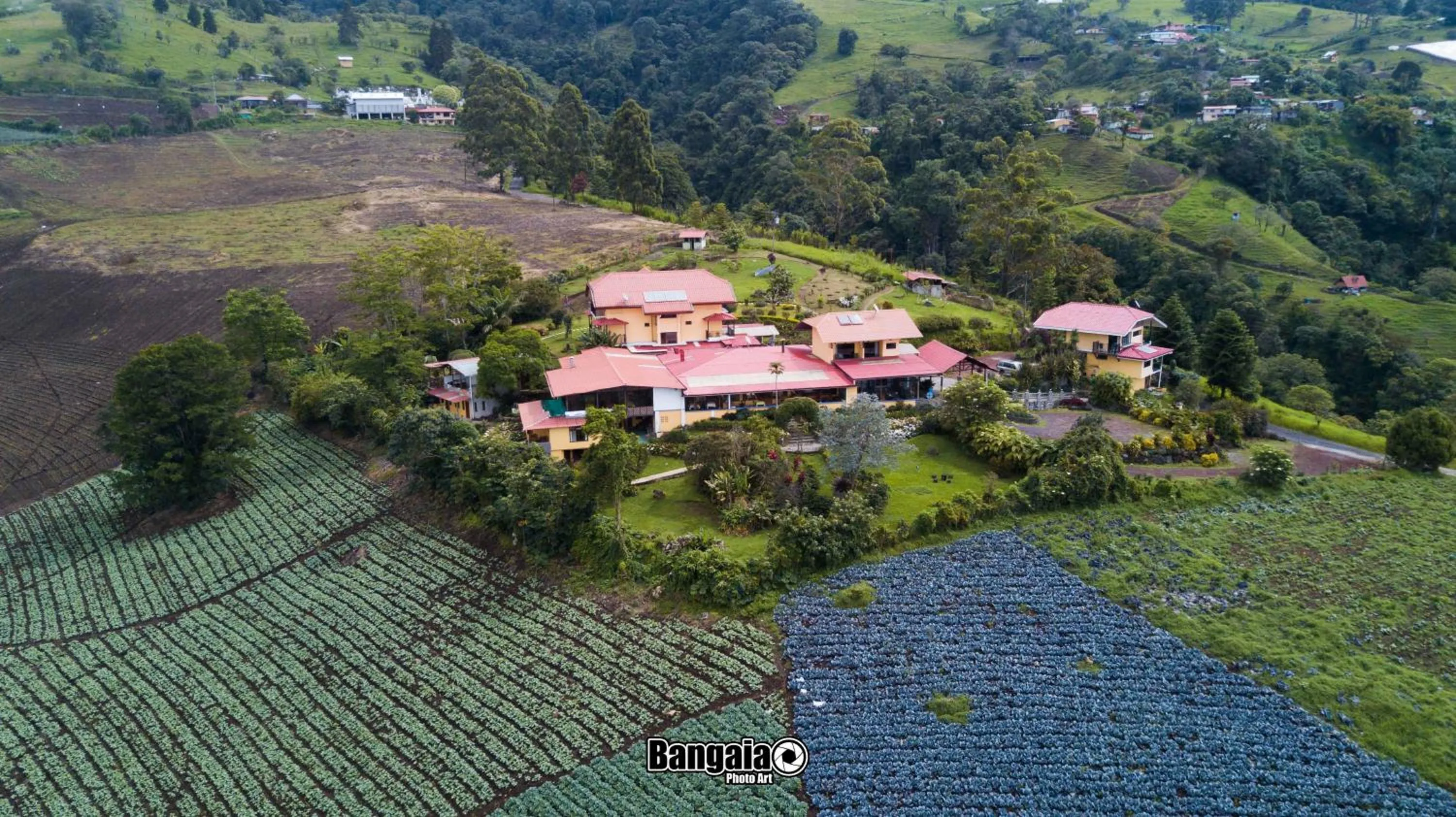 Bird's eye view in Guayabo Lodge