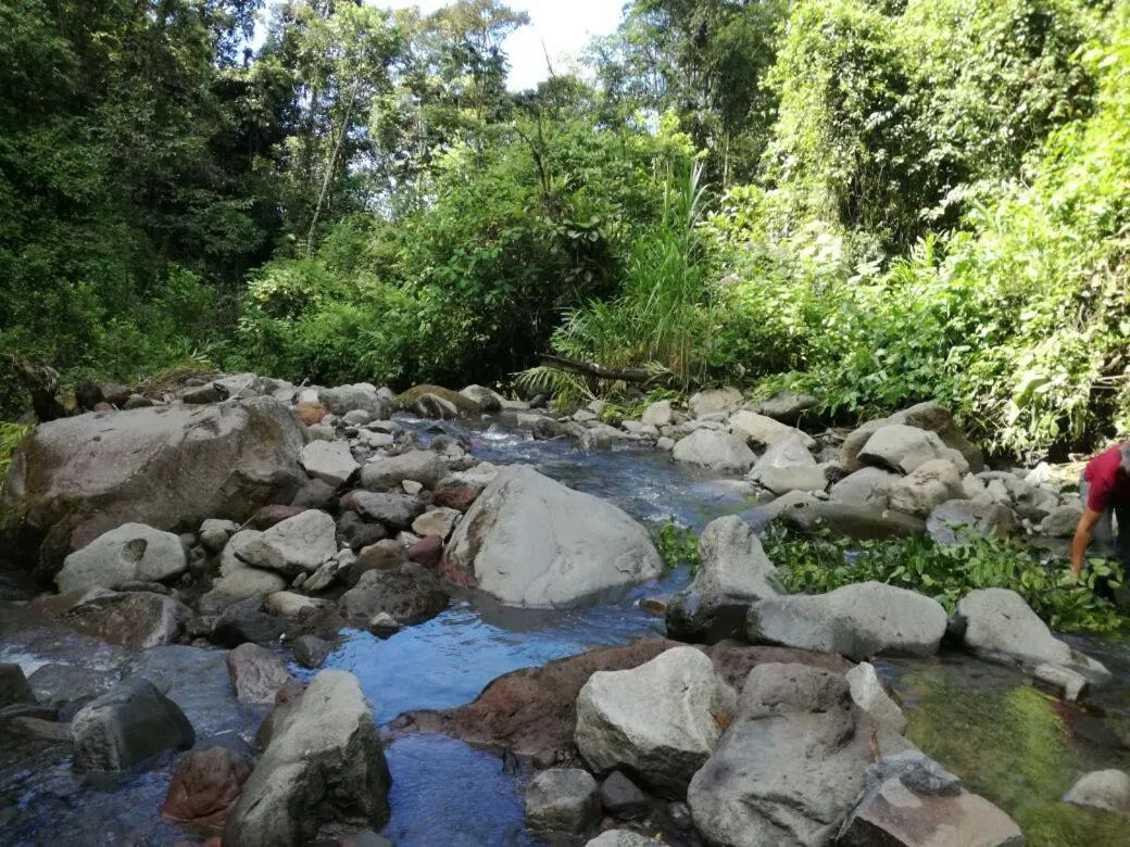 Natural landscape in Guayabo Lodge