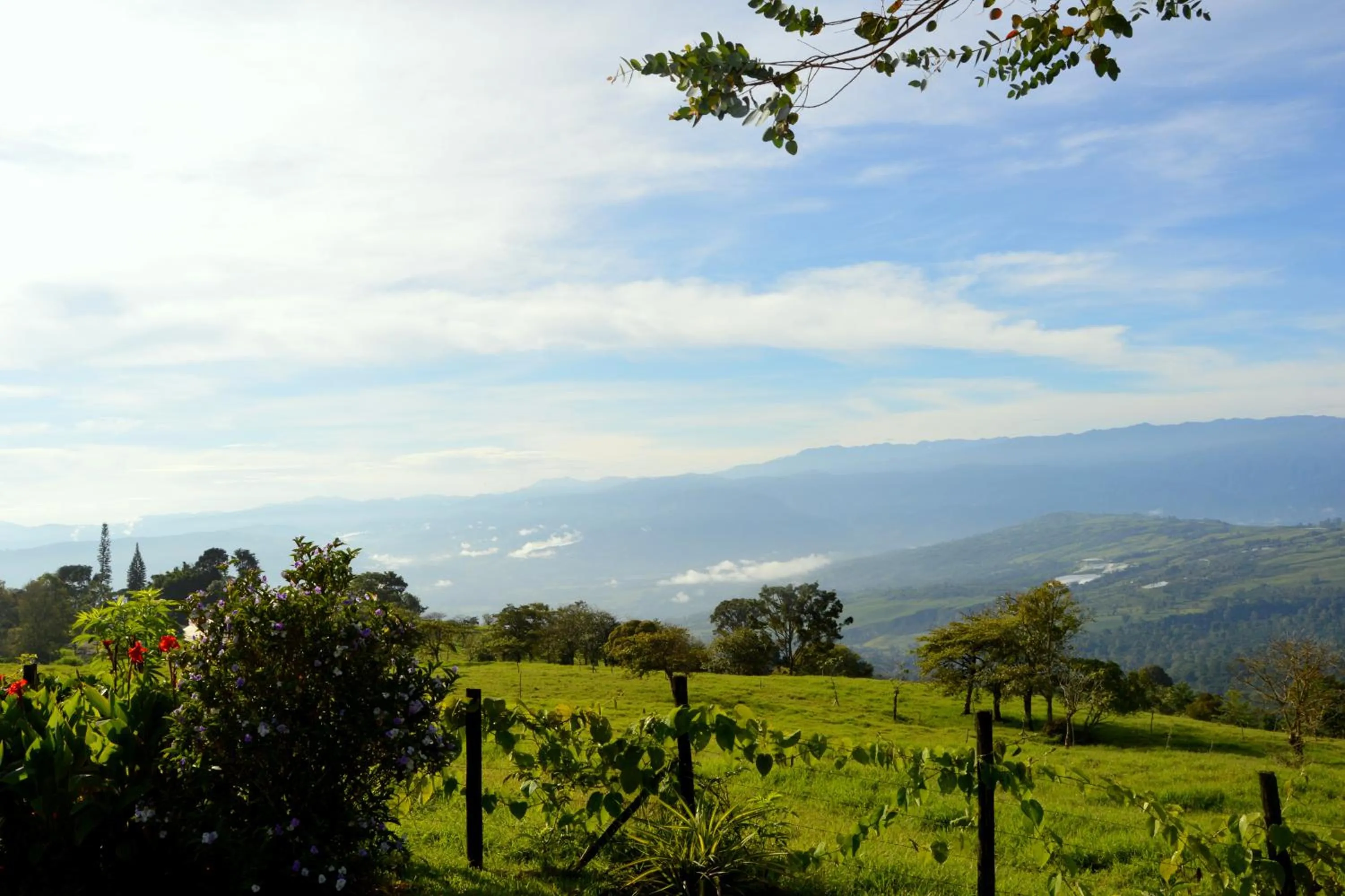 Natural landscape in Guayabo Lodge