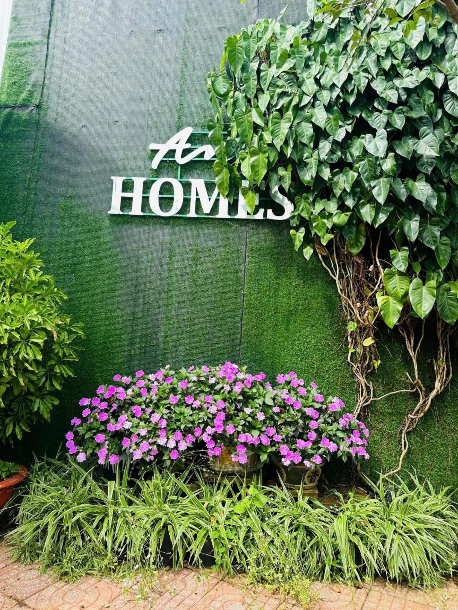 Property building in An An Homestay Bảo Lộc