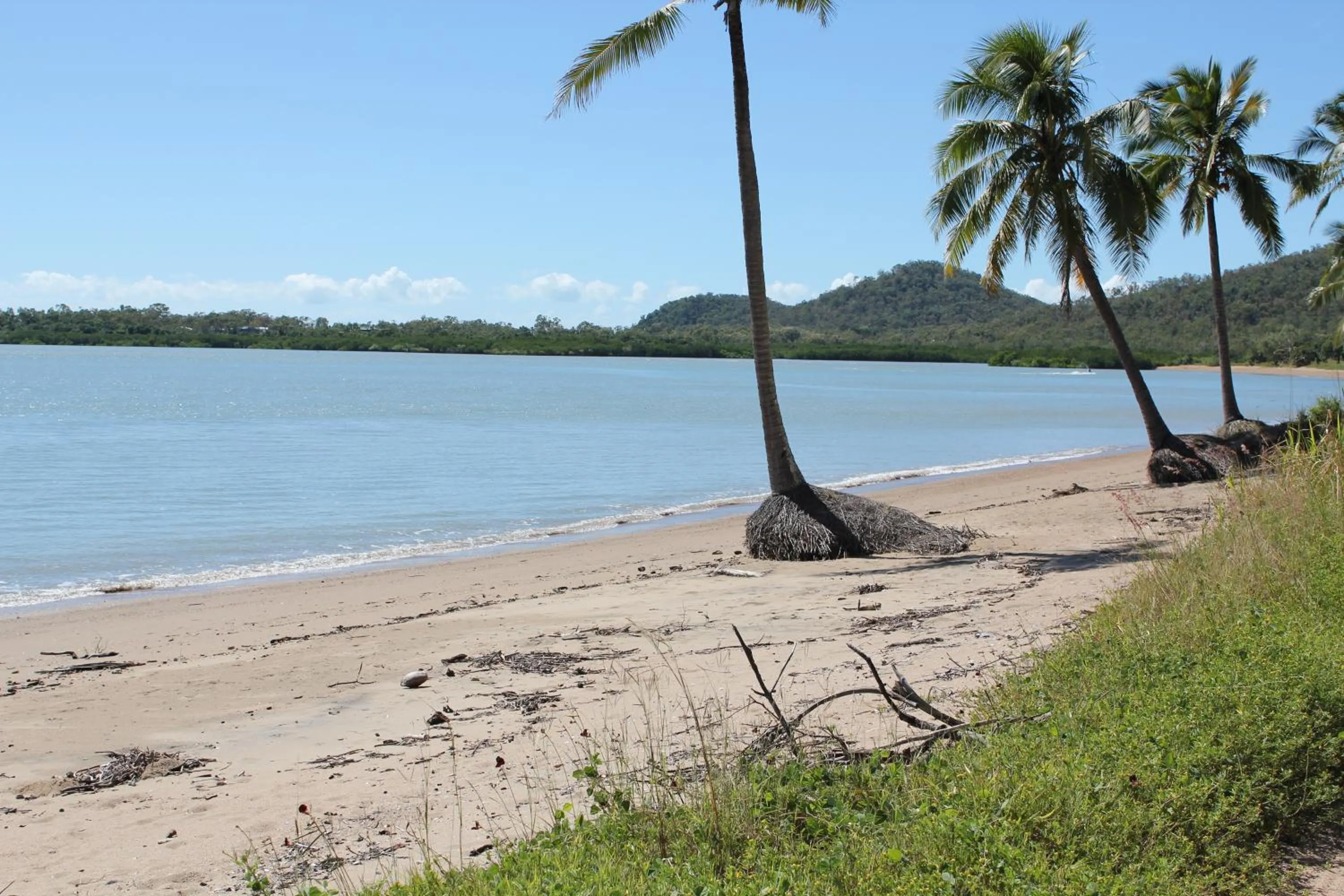 Beach in Seaforth Holiday Units