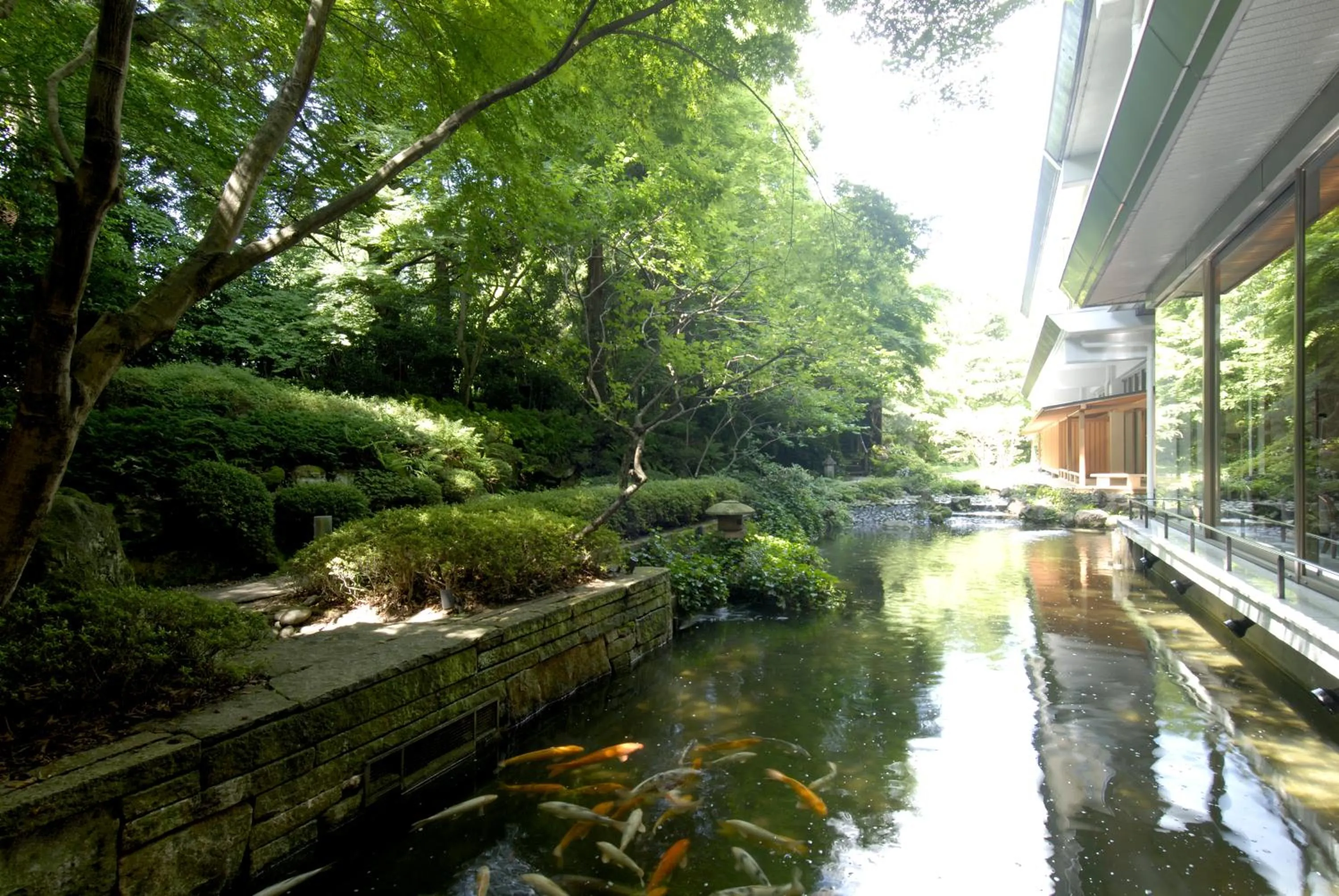 Garden in Hotel New Mitoya