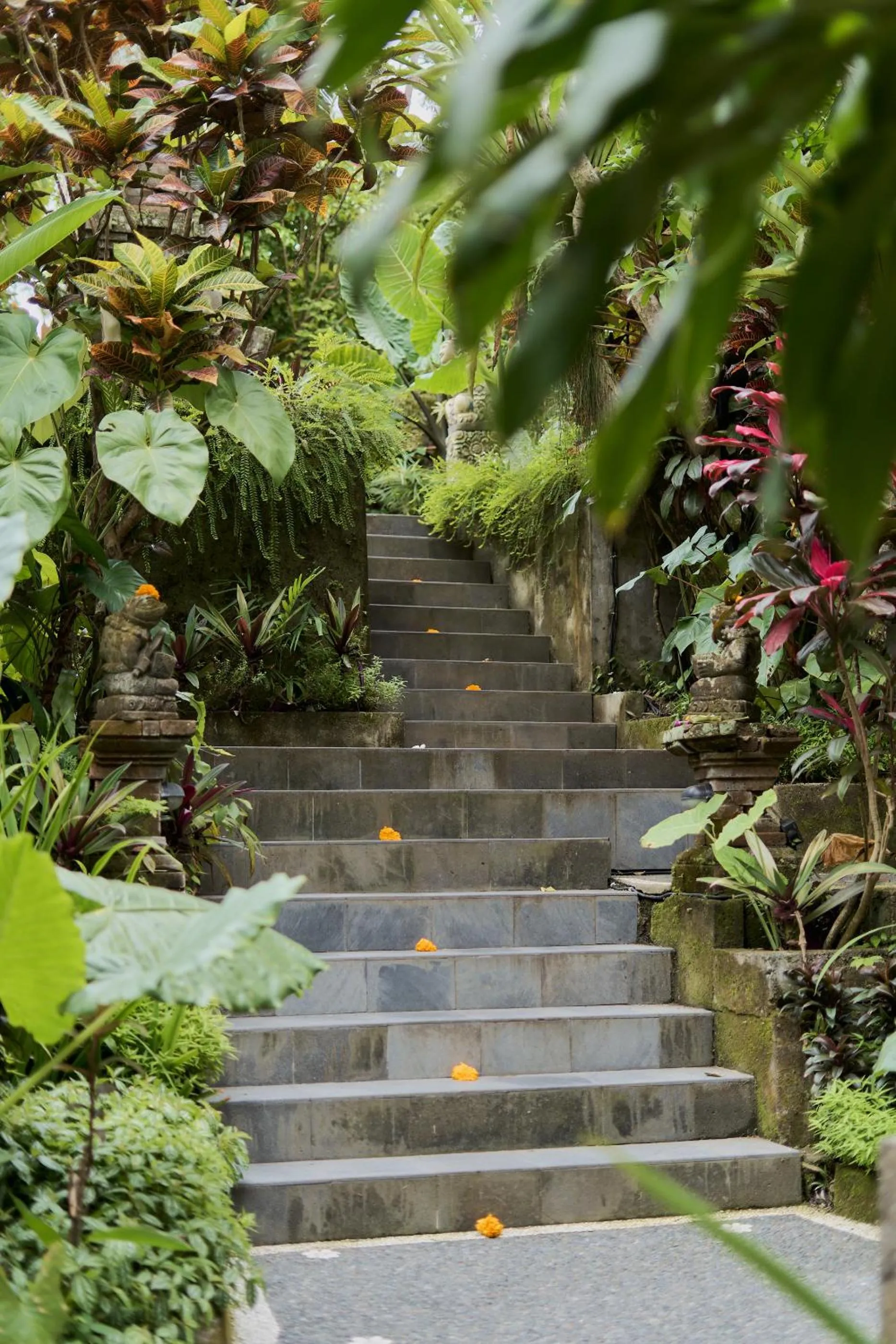 Garden in Sama's Cottages and Villas