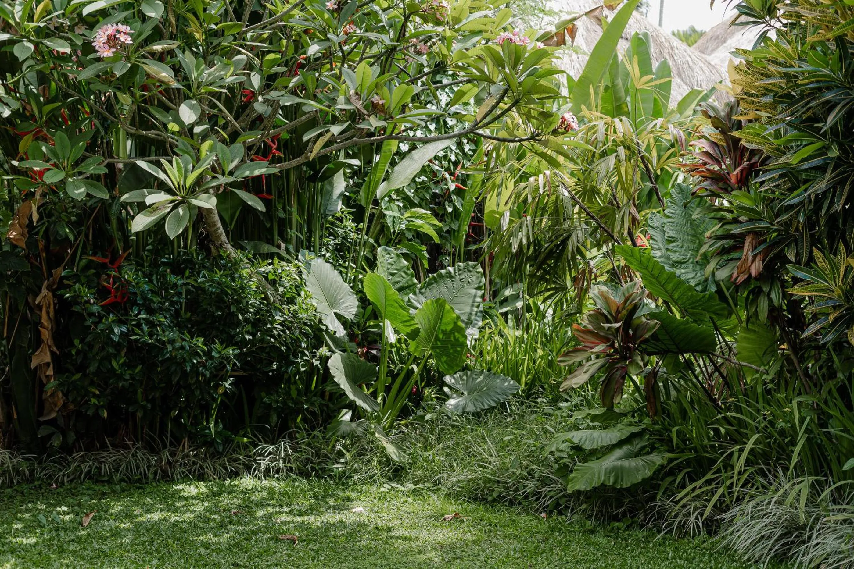 Sama's Cottages and Villas