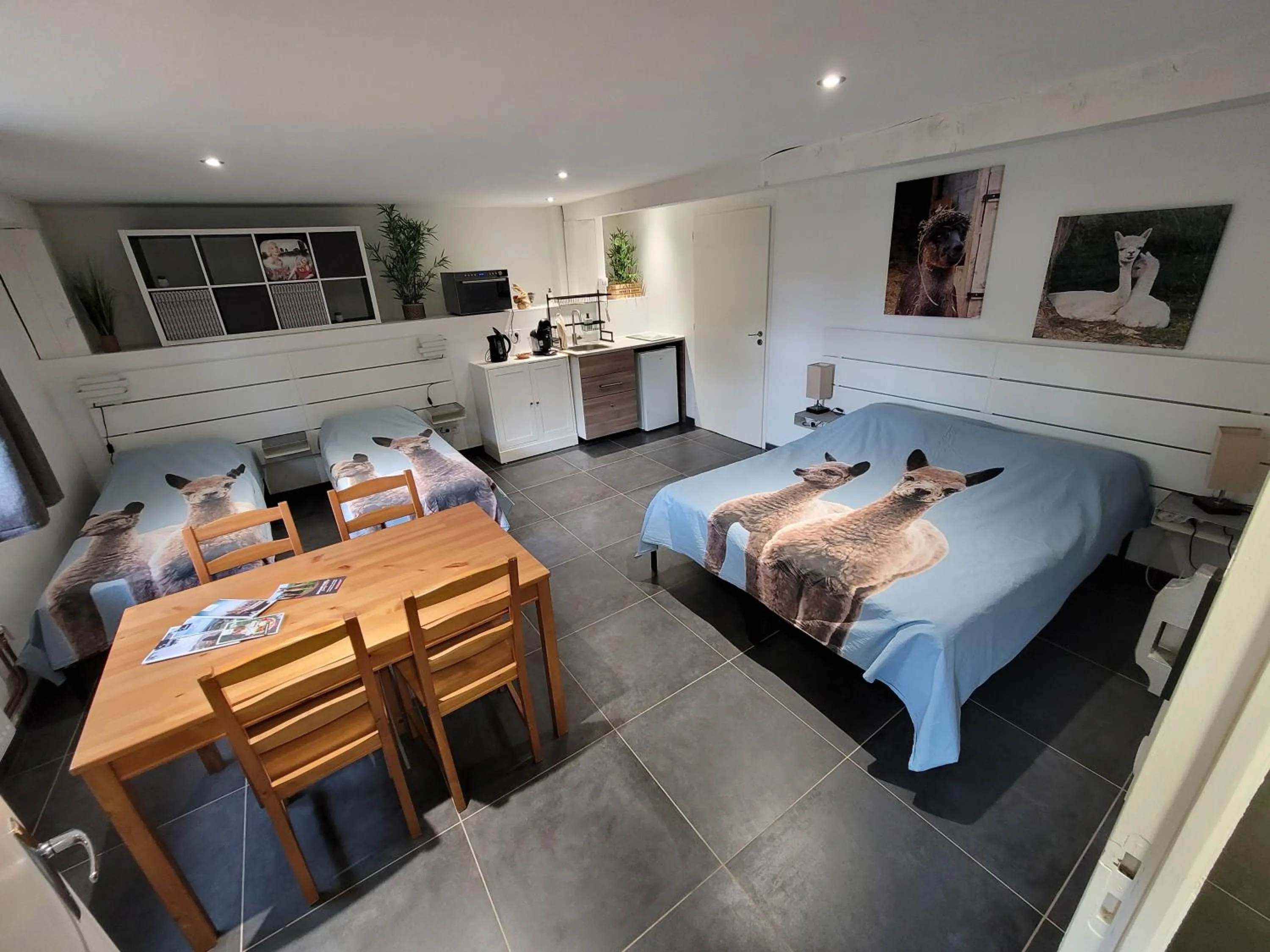 ALPAGAS DU DOMAINE MAEL